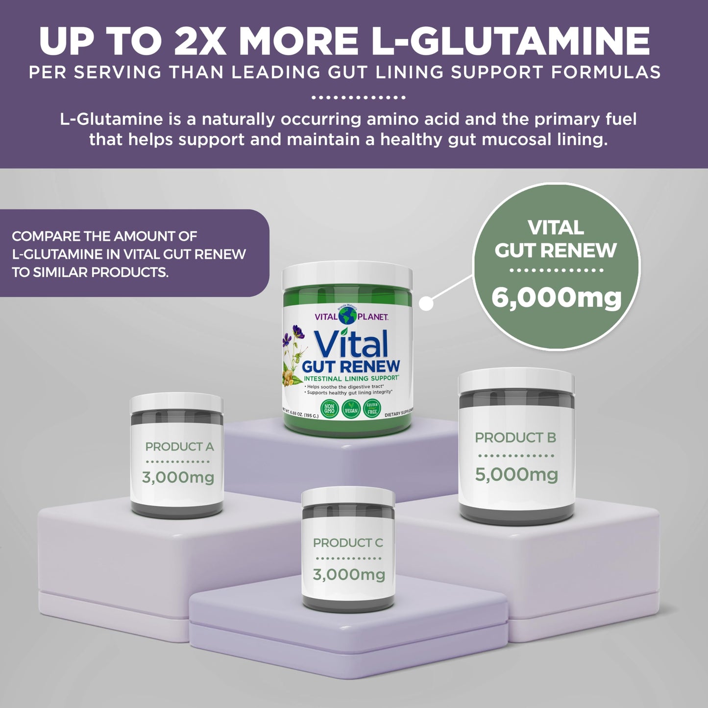 Vital Planet - Vital Gut Renew Powder Supplement for Leaky Gut Repair with L-Glutamine, Marshmallow and Ginger Root, DGL Licorice Root and Organic Aloe Vera, L Glutamine 6000mg 6.88 oz