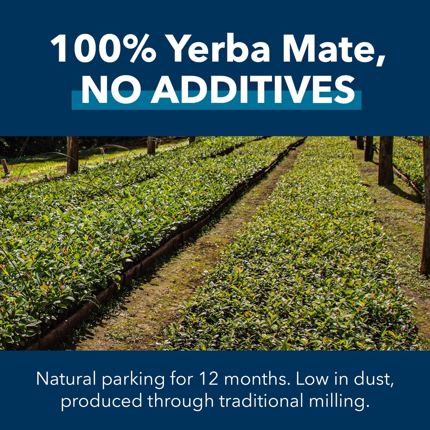 Pero Bien Argentino Yerba Mate Loose Leaf Authentic Yerba Mate With stick Argentine 220 Pound Pack of 2