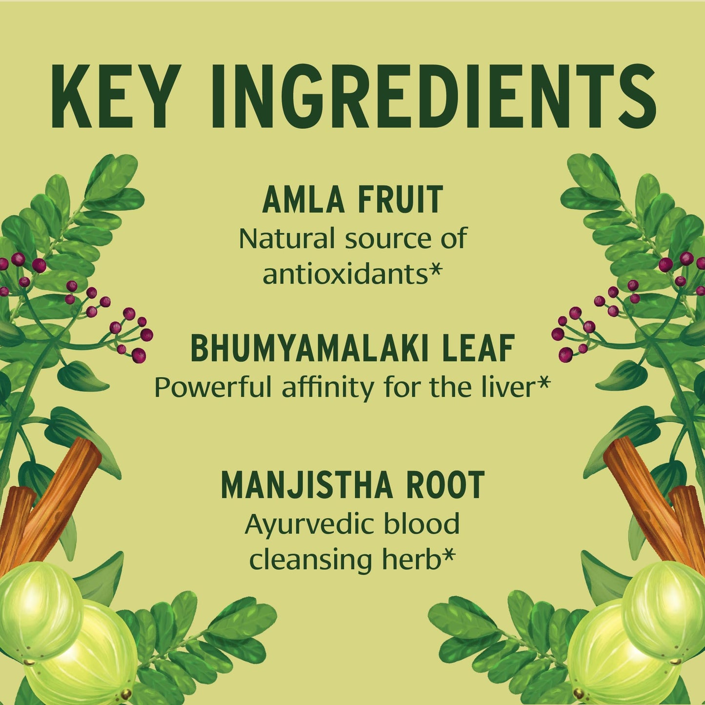 Banyan Botanicals Total Body Cleanse - Organic Cleanse Supplement with Amla & Manjistha - Supports Healthy Digestion, Detox, & Natural Cleansing* - 90 Tablets - Non GMO Sustainably Sourced Vegan