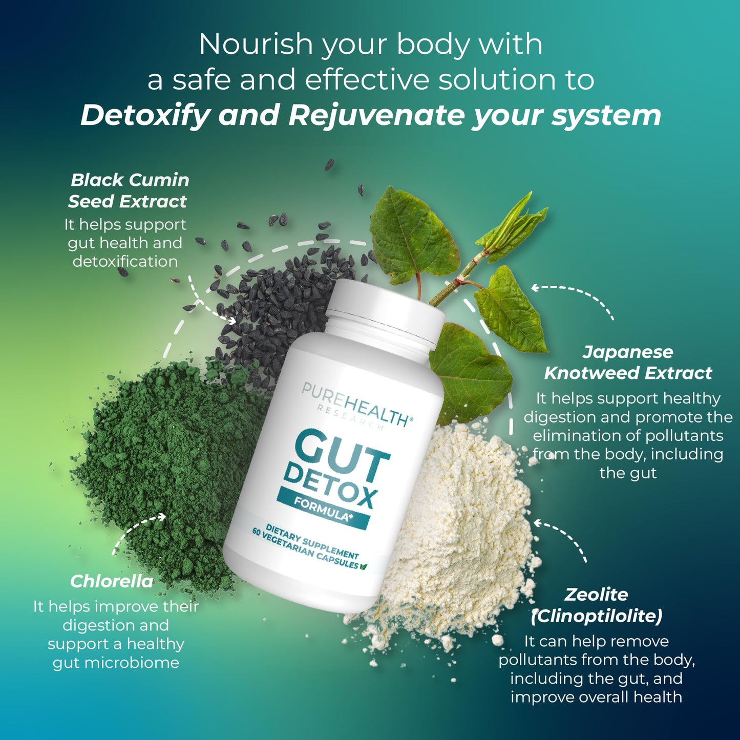 PUREHEALTH RESEARCH Gut Cleanse Formula Digestion Supplement - Comprehensive Gut Cleanse with Zeolite Detox & Zeolite Clinoptilolite - Cleanse Harmful Chemicals for Optimal Wellness -1 Bottle
