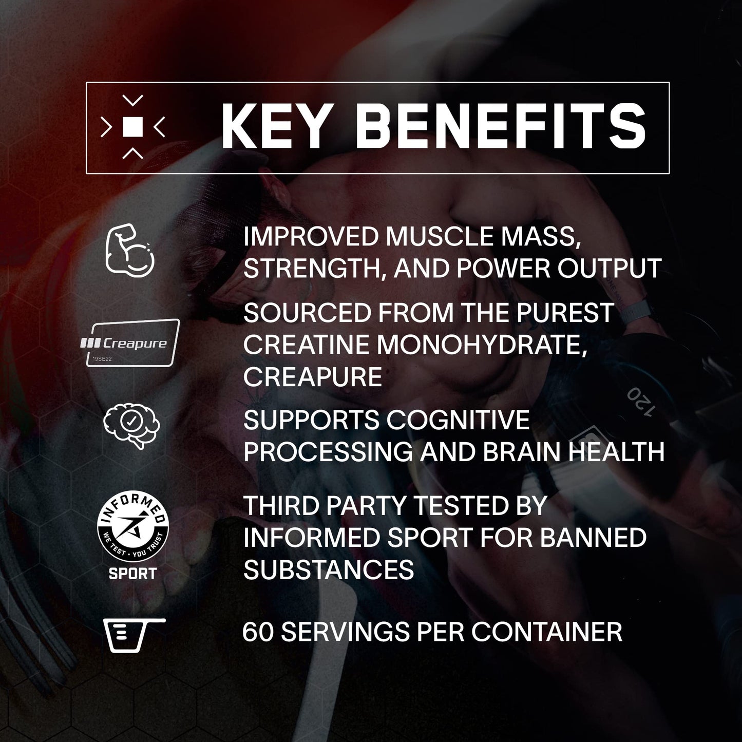 BARE PERFORMANCE NUTRITION, BPN Pure Creatine Monohydrate Powder by Creapure, 5g of Creatine per Serving, Supports Muscle Growth, Unflavored Creatine Powder, 60 Servings
