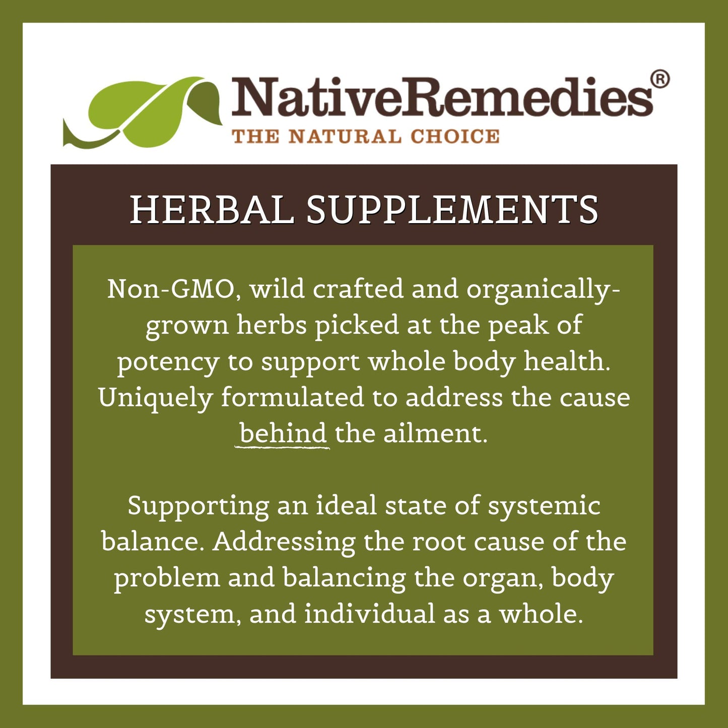 Native Remedies ThyroSoothe and Detox Drops ComboPack