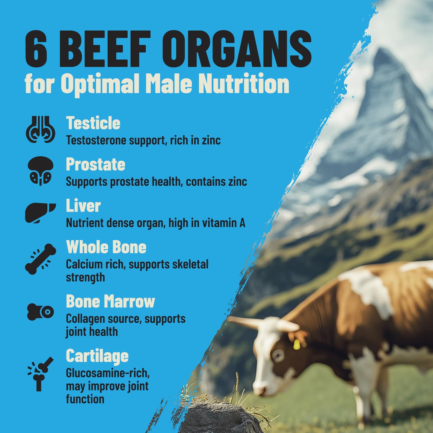 Grass Fed Beef Organ Supplement for Men - Male Optimization Pills - 6 Vital Beef Organs to Drive Prostate Health & Peak Performance, Made in USA, 60 Capsules