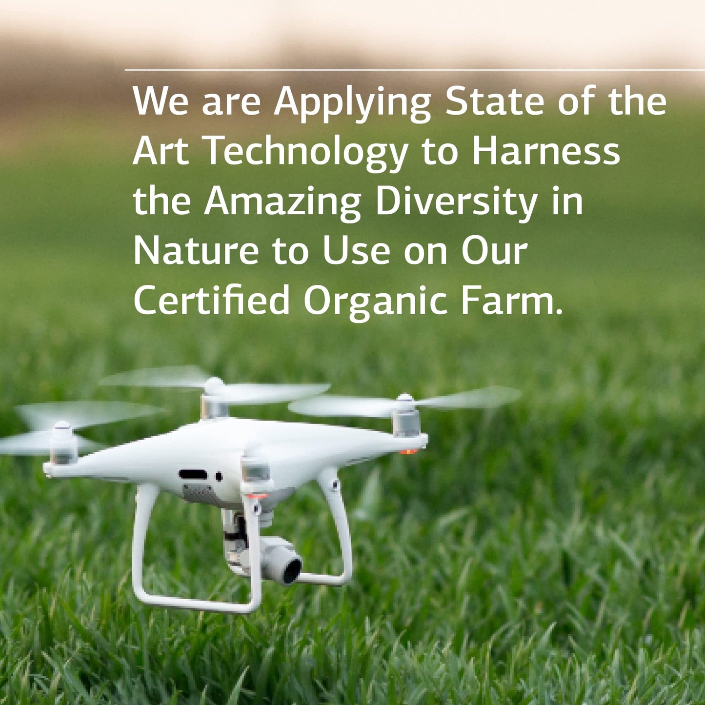 Standard Process Inc. Iplex - Whole Food Vascular Supplement, Eye Health and Eye Support with Shiitake Mushroom, Phosphoric Acid, Rice Bran, Organic Carrot, Arrowroot Flour, Alfalfa - 150 Capsules