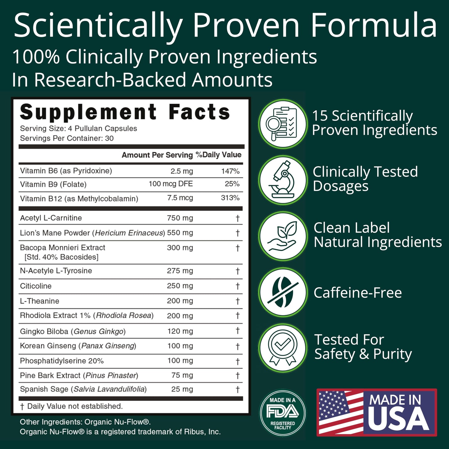 ThinkEase Brain Supplement (120 Capsules) | Memory, Mental Clarity, Focus, Cognitive Performance | Nootropic Supplement with L-Theanine, Acetyl L-Carnitine, Phosphatidylserine, Lion's Mane & More