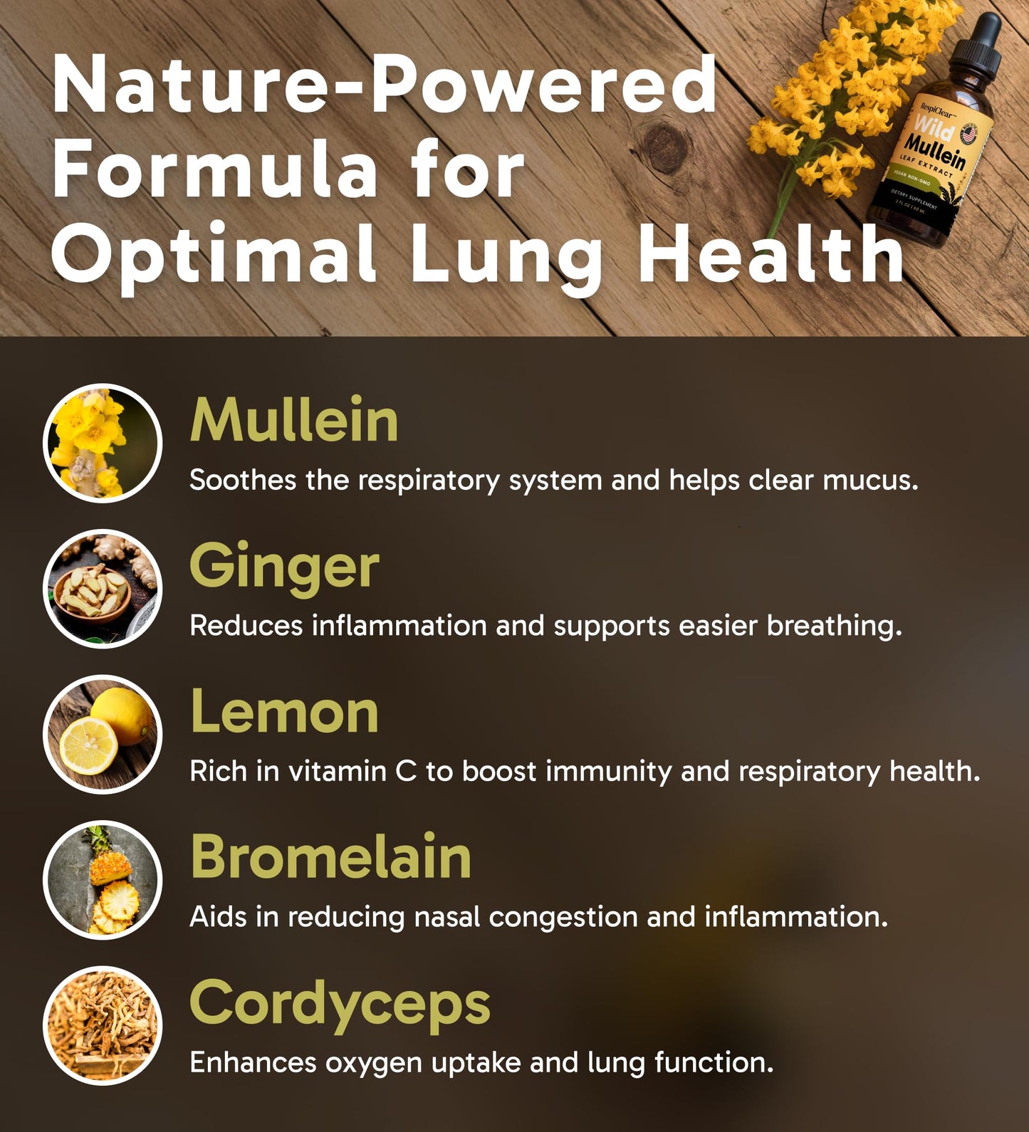 All-Natural Mullein Drops with Ginger & Lemon for Lung Cleanse and Detox, Mullein Leaf Extract for Respiratory Lung Health & Detox for Smokers, 1.2 oz Dropper