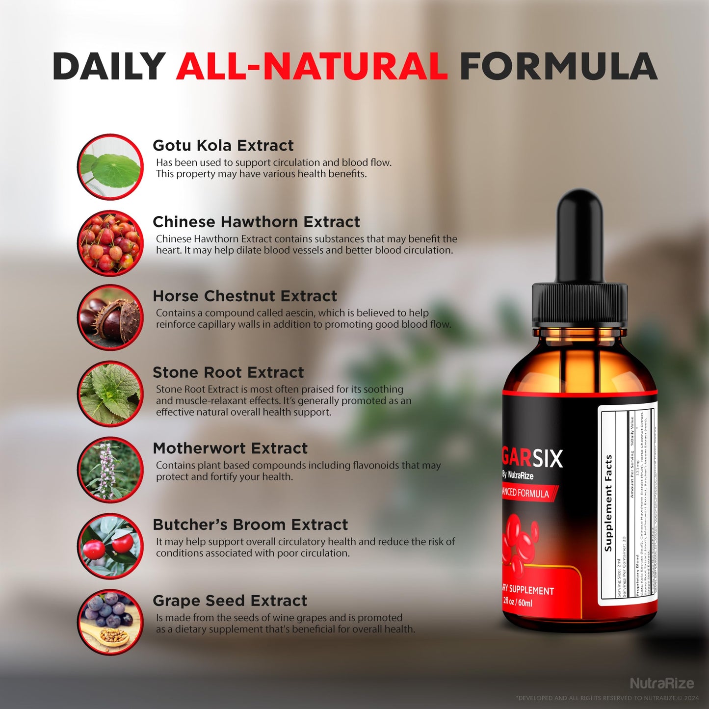 NutraRize (2 Pack) SugarSix Drops, Official Sugar Six Liquid Formula, All Natural Support for Stable and Healthy Levels, Premium Dropper to Maintain Good Circulation, Sugar Six Review (60 Servings)