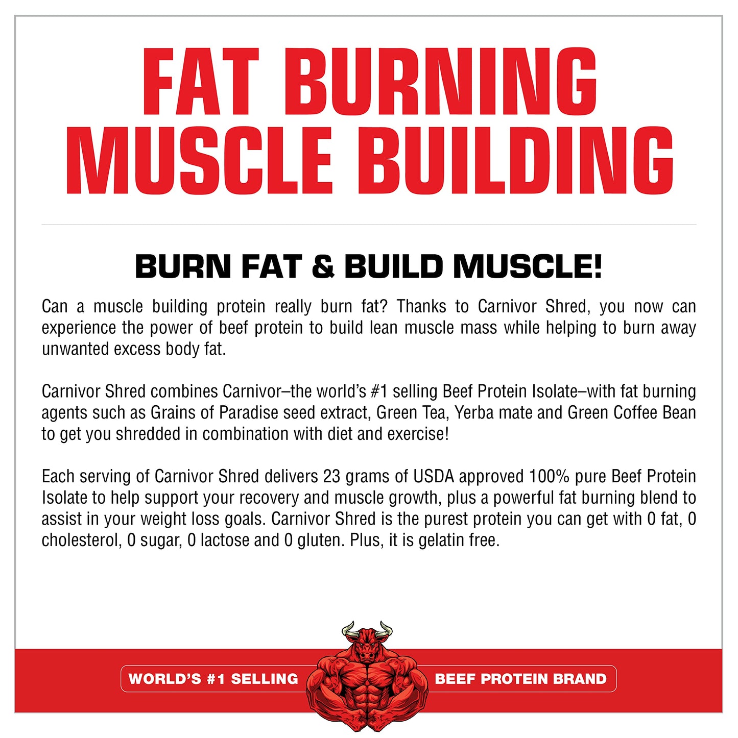MuscleMeds Carnivor Shred Fat Burning Hydrolized Beef Protein Isolate, 0 Lactose, 0 Sugar, 0 Fat, Chocolate, 4.35 lbs