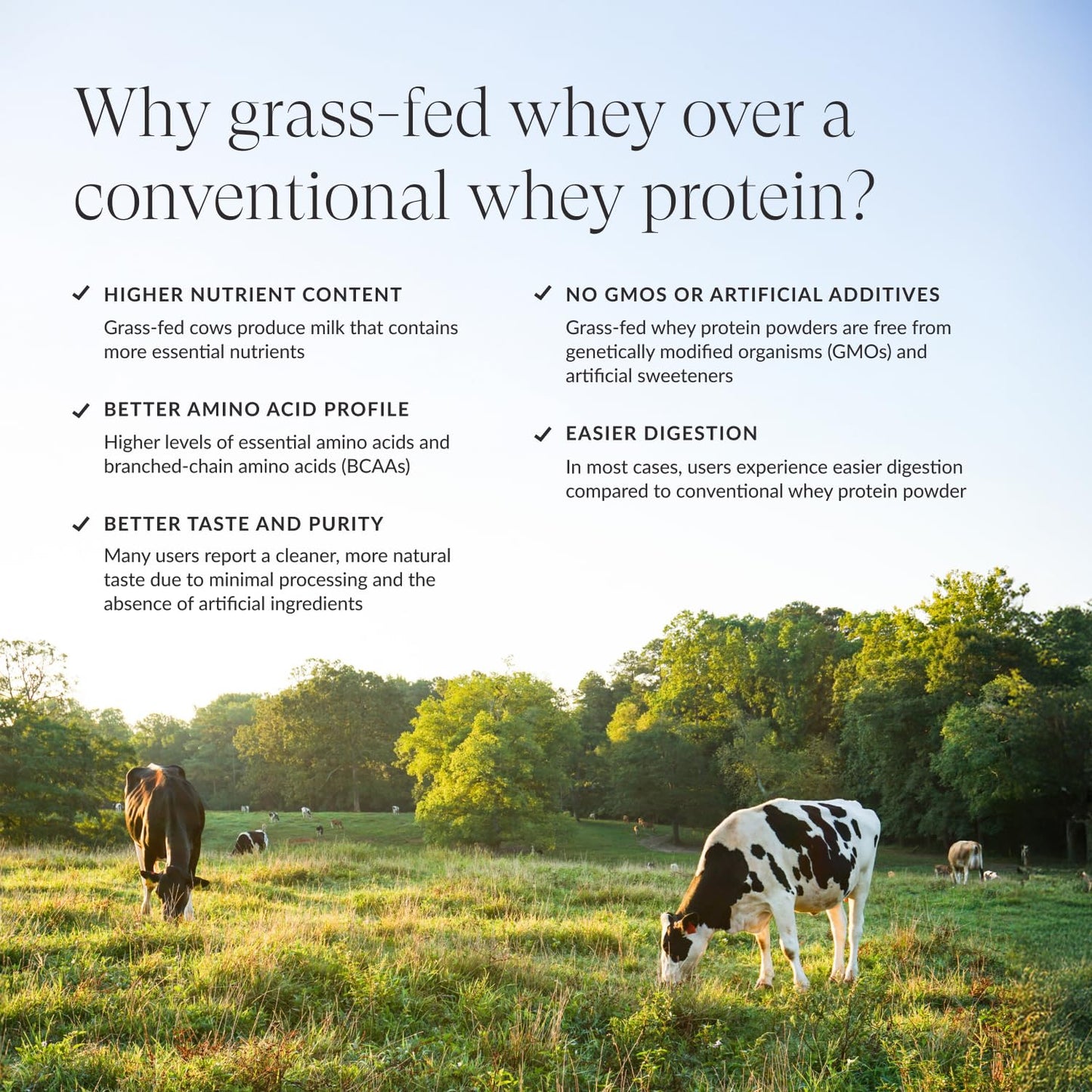 Beam Grass Fed Whey Protein Powder - Chocolate Peanut Butter, 12 Servings, 22g Protein Per Serving, Clean Whey Isolate & Concentrate, Low Carb, Paleo Friendly, GMO Free, Gluten Free, 3rd Party Tested