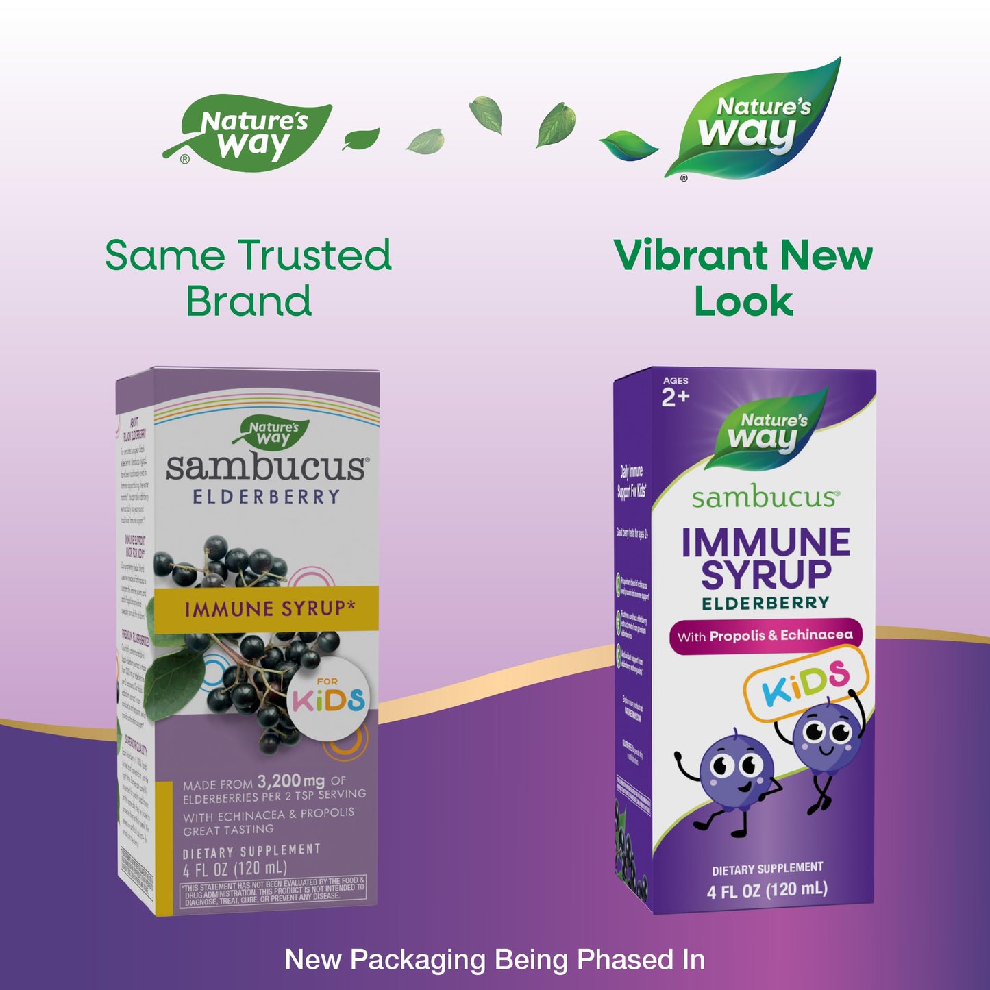 Nature's Way Sambucus Elderberry Immune Syrup for Kids Ages 2+, with Echinacea & Propolis, Daily Immune Support*, Vegetarian, Berry Flavored, 4 Fl Oz (Packaging May Vary)
