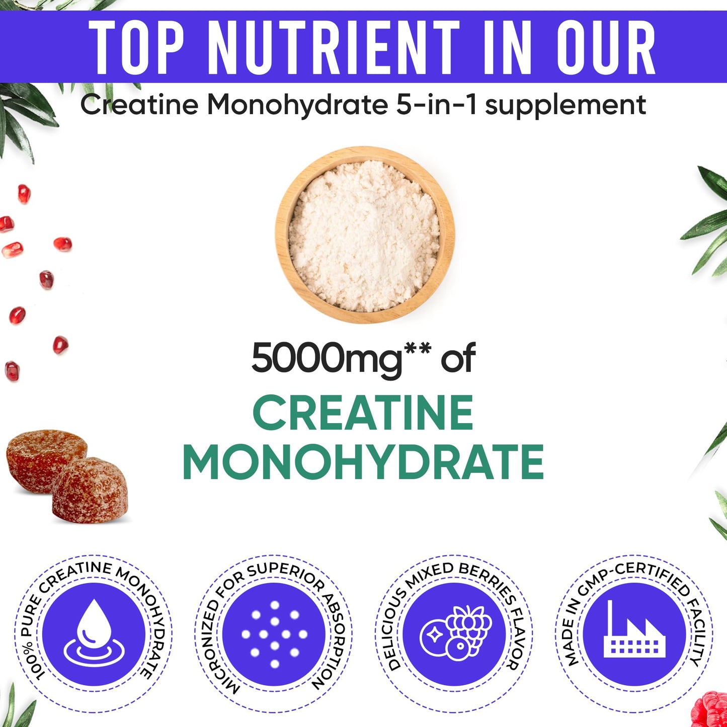 Creatine Monohydrate Gummies for Men & Women - 5000mg per Serving Creatine Supplement with Beta-Alanine, L-Citrulline & B12 - Supports Strength, Energy, and Recovery - 75 Vegan Gummies. Sugar-Free