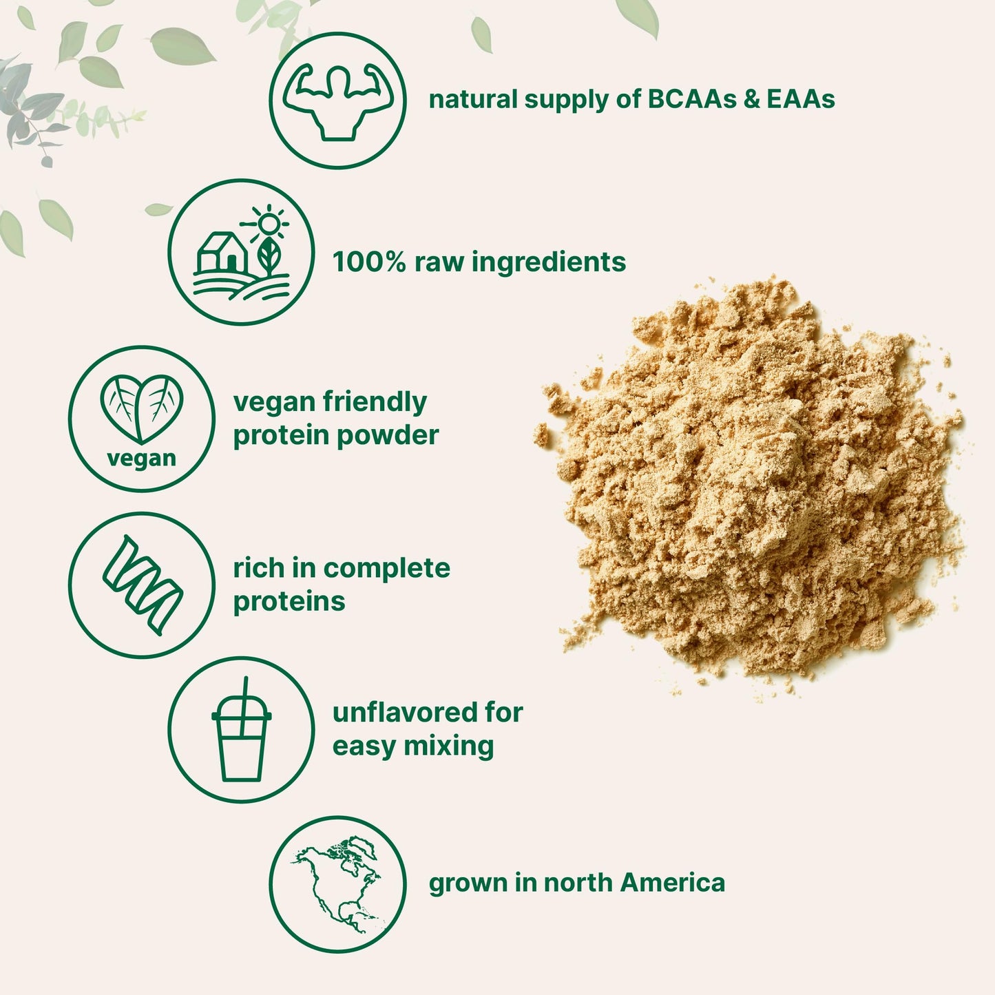 Micro Ingredients North American Grown, Pea Protein Powder, 5 Pounds | Plant Based, Unflavored | Complete Vegan Protein Source - 27g Serving | Rich in BCAAs & EAAs | Non-GMO, Keto Friendly