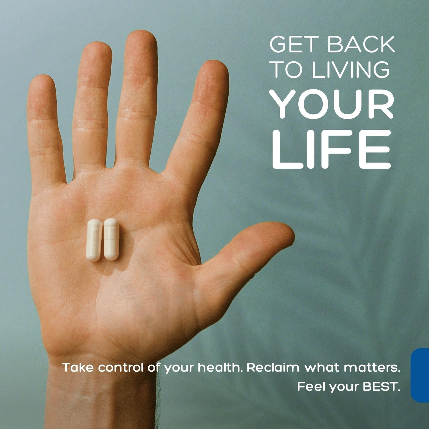 Palmara Health Clean L-Lysine 600mg, 120 Capsules | Vegan, Non-GMO, & Gluten Free (2)