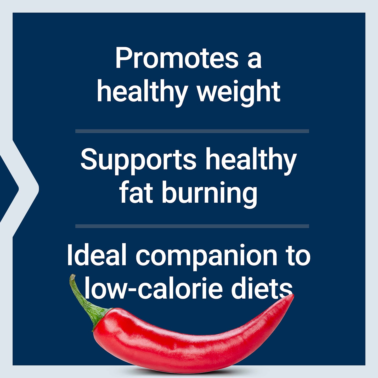 Life Extension Thermo Weight Control - Encourages Fat Burning, Healthy Weight Loss & Thermogenesis - Patented Capsaicin Extract - Weight Management - Gluten-Free - 60 Vegetarian Capsules