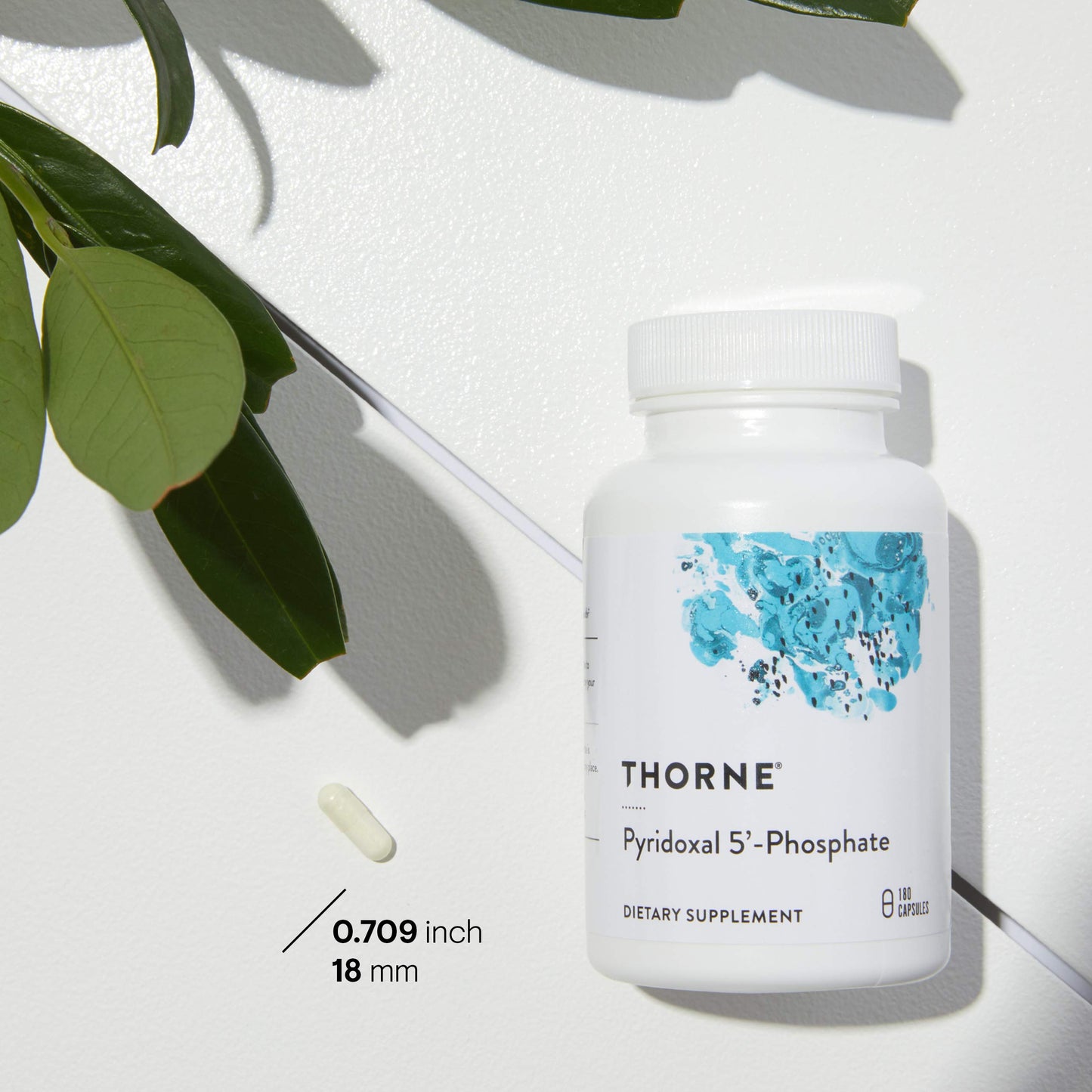 THORNE Pyridoxal 5'-Phosphate - Bioactive Vitamin B6 (Pyridoxine) Supplement for Energy Production and Neurotransmitter Synthesis* - 180 Capsules