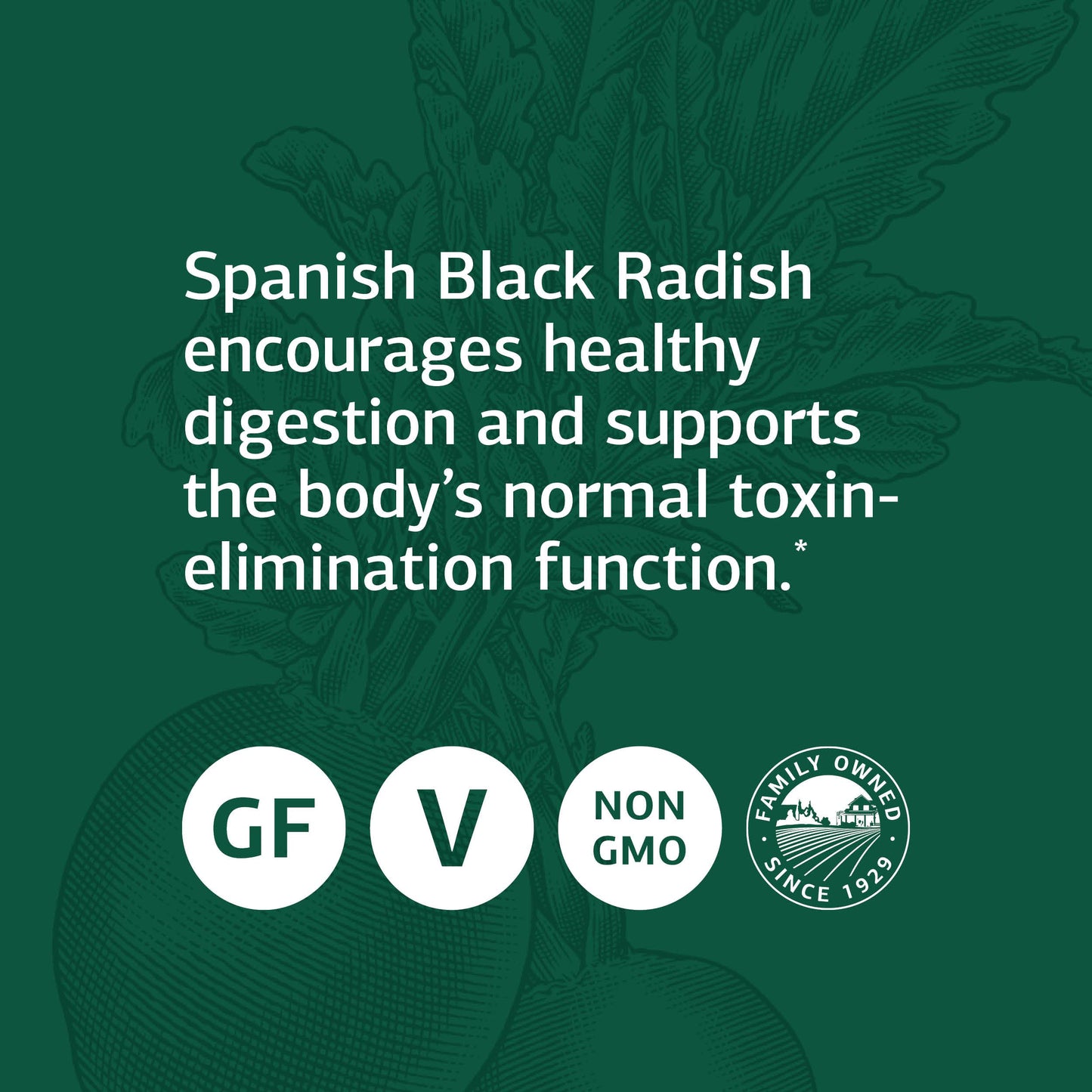 Standard Process Spanish Black Radish - Whole Food Detox, Liver Support, Digestion and Digestive Health, Gallbladder Support with Honey and Vitamin C - Vegetarian, Gluten Free - 90 Tablets