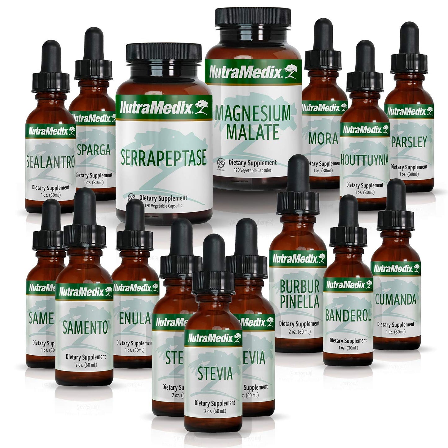 NutraMedix Cowden Support Program Month 9 - Bioavailable Herbal Detox Protocol Including Banderol, Burbur-Pinella, Parsley. Samento Cat's Claw Tincture, Serrapeptase, Magnesium & More (16 Piece Set)