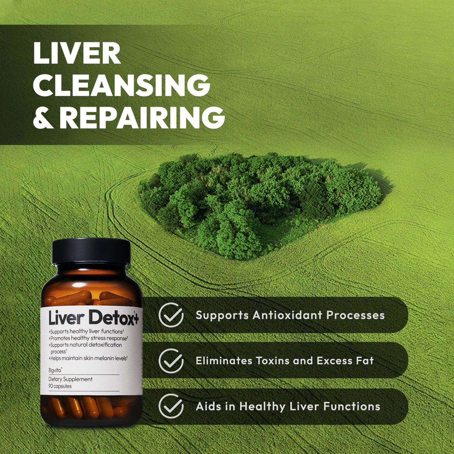 BigVita Liver Detox Vegan Gluten Free Liver Health Supplement Cleanse Detox & Repair Hangover Helper Contains Milk Thistle Glutathione Vitamin C Inositol and Selenium, 90 Capsules