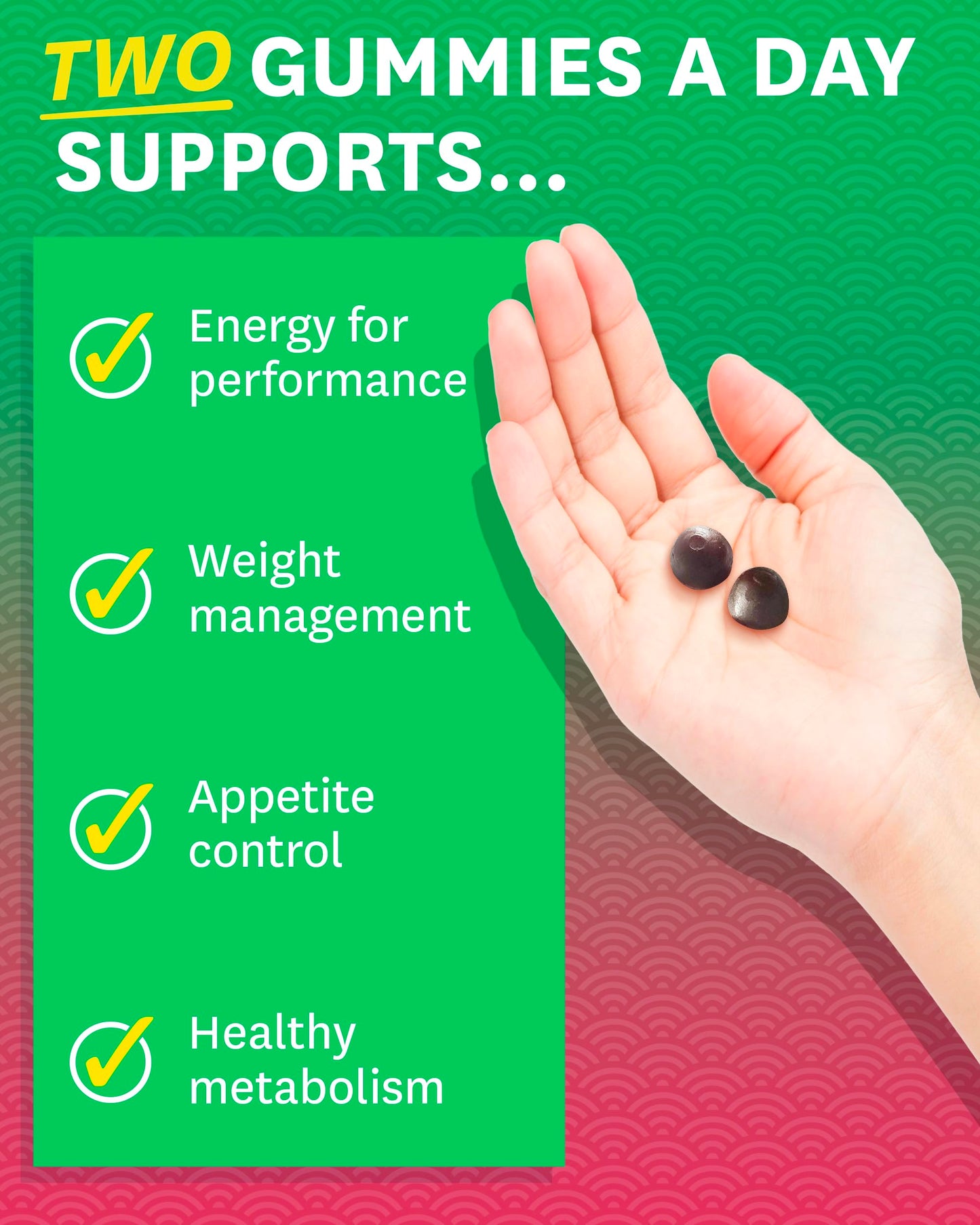 Zenwise Green Tea Extract, Apple Cider Vinegar Gummies - Appetite Suppressant for Weight Management with Green Coffee Bean Extract for Metabolism - 60 Count Apple Gummies