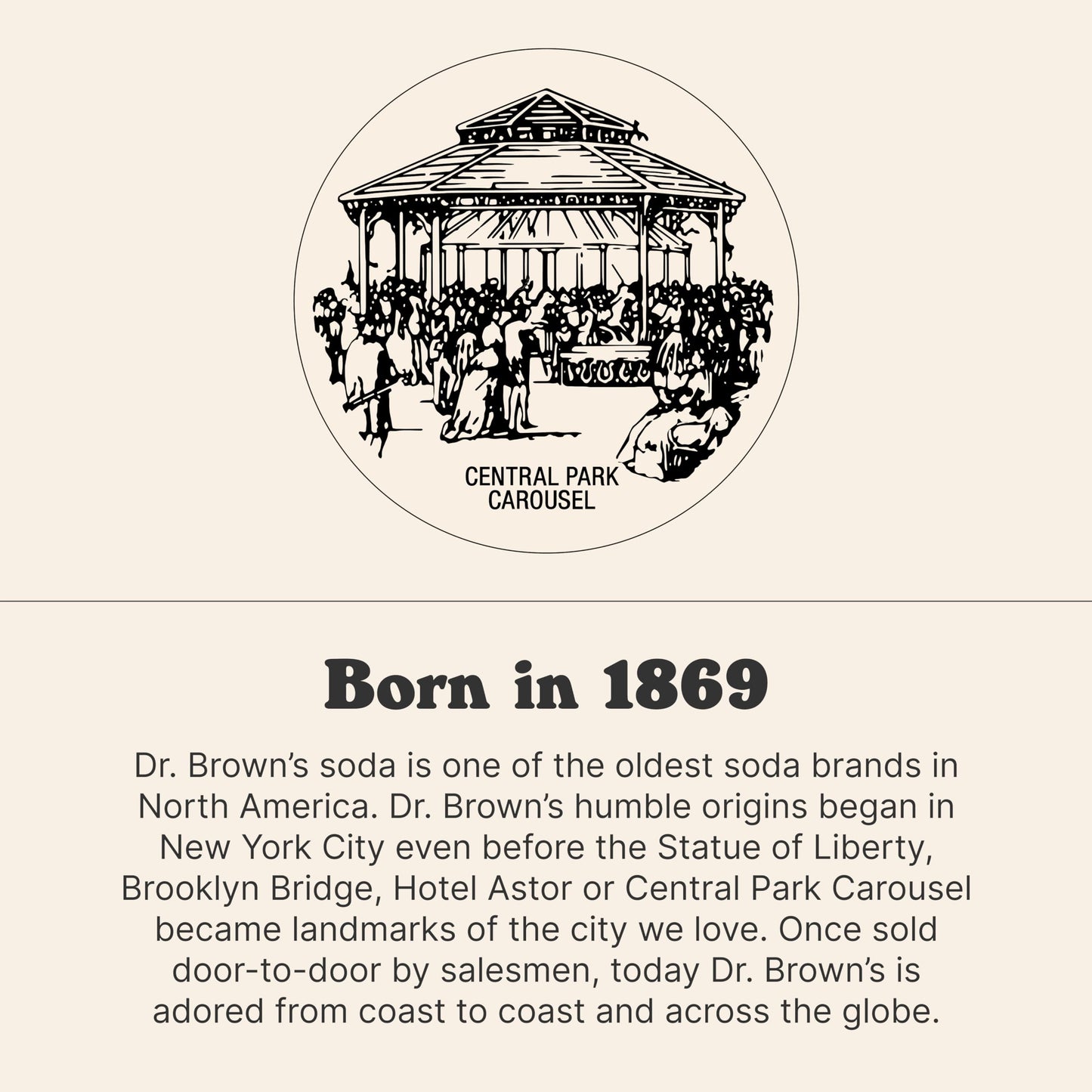Dr Browns Ginger Ale Soda A New York Original 24 Cans of Refreshing Kosher Gourmet Soda Pop Ginger Ale Soda 24 x 12 oz Cans