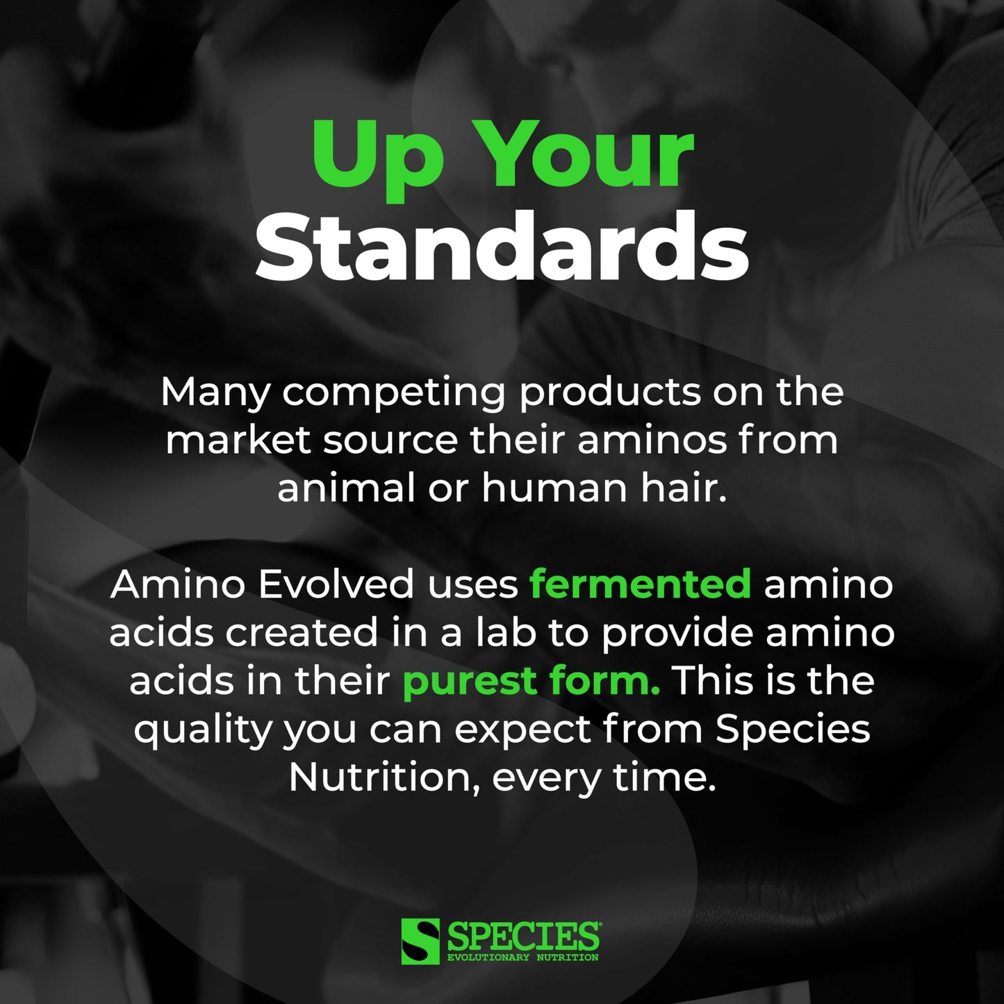 Species Nutrition Amino Evolved EAA & BCAA Powder, Fermented Branched Chain Amino Acids, Muscle Recovery & Endurance, Pre & Post Workout Supplement (Strawberry Watermelon, 30 Servings)