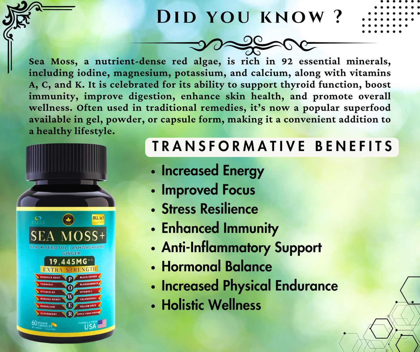 PAETY Premium Sea Moss 7000mg with Black Seed Oil, Ashwagandha, Turmeric, Elderberry, Bladderwrack, Ginger, Manuka, Vitamins C & D3, ACV