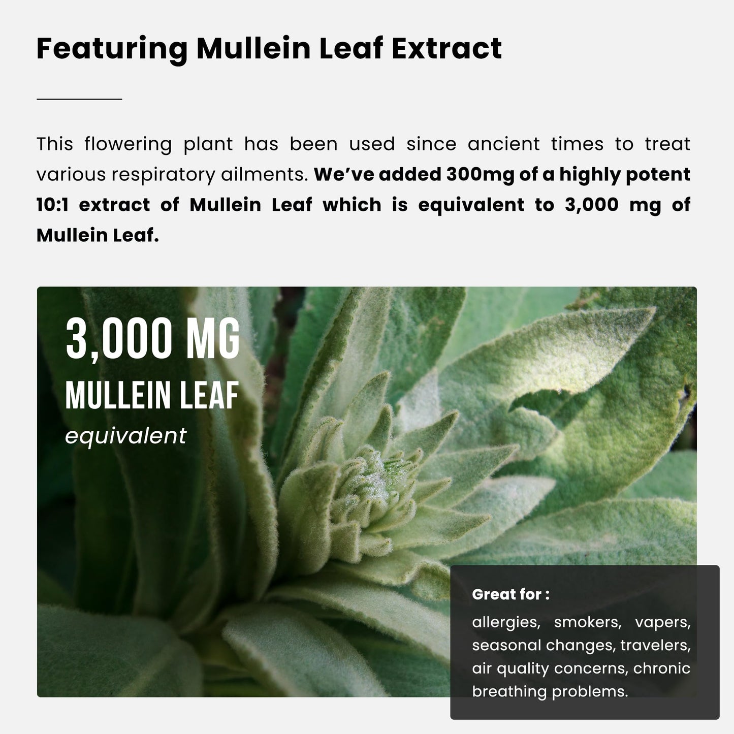 NutraChamps Lung Detox & Cleanse, Mullein Leaf Capsules, 15-in-1 Lung Health Formula for Respiratory, 10:1 Mullein Leaf Extract (3000mg Equivalent), Vegan Lung Support Supplement
