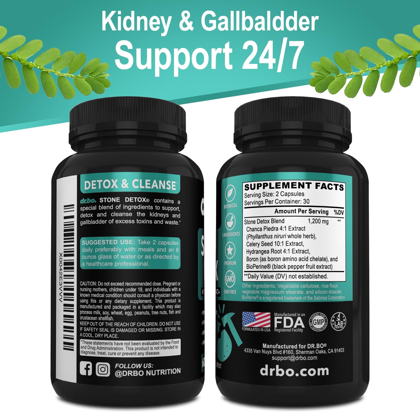 Stone Breaker Chanca Piedra Capsules - Stone Detox for Kidney Cleanse Detox, Gallbladder Formula with Hydrangea Root - Natural Gallstones Kidney Stones Dissolver Gallbladder Flush Pills - 60 Capsules