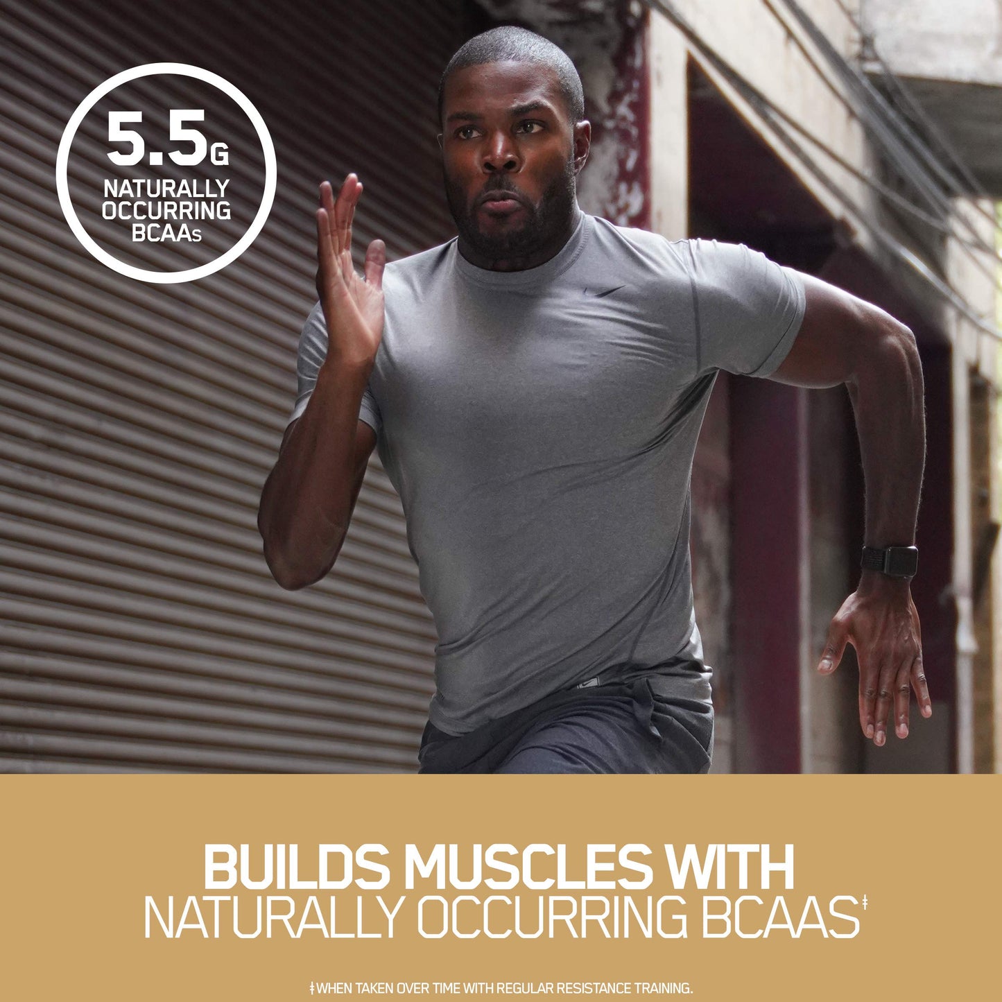 Optimum Nutrition Gold Standard 100% Whey Naturally Flavored Protein Powder, Vanilla, 1.9 Pound (Packaging May Vary)