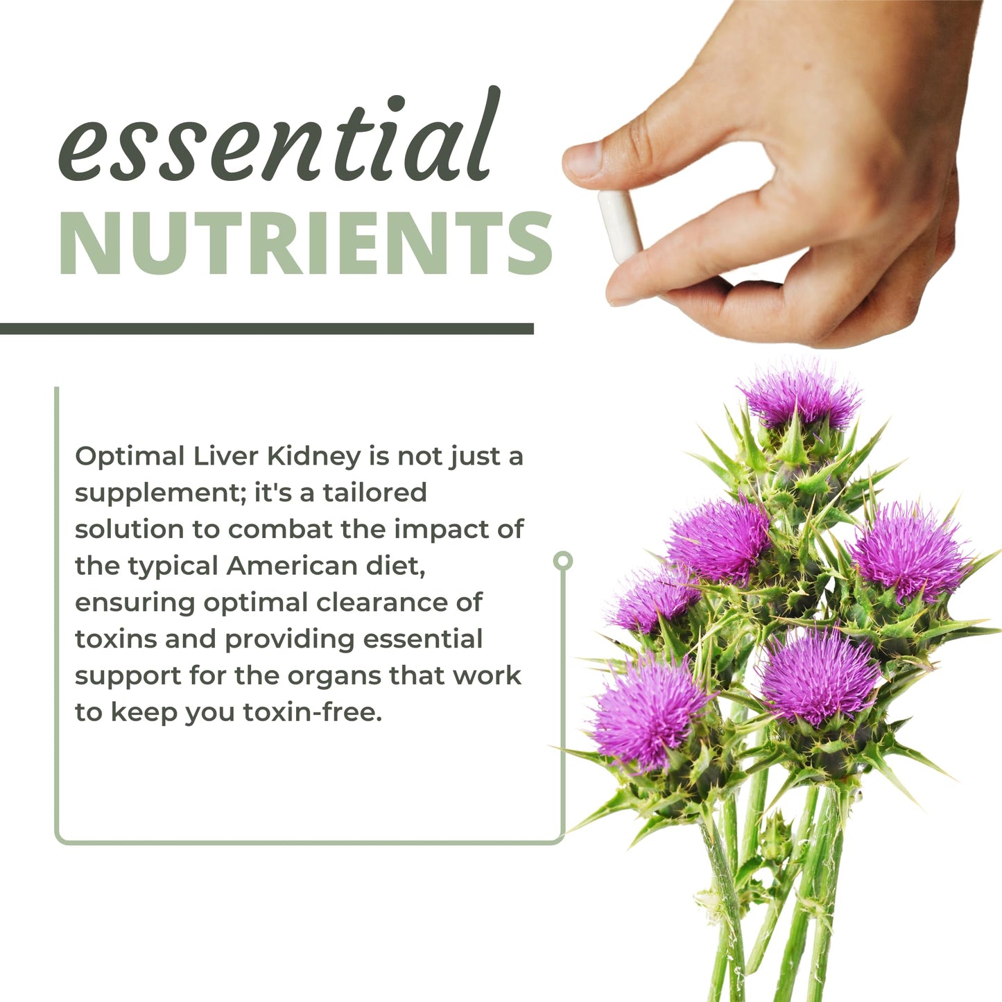 Optimal Health Systems Liver/Kidney | Detox & Cleanse | Milk Thistle, Dandelion, Barberry, Molasses + Opti-Blend Enzymes for Absorption | 90 Capsules