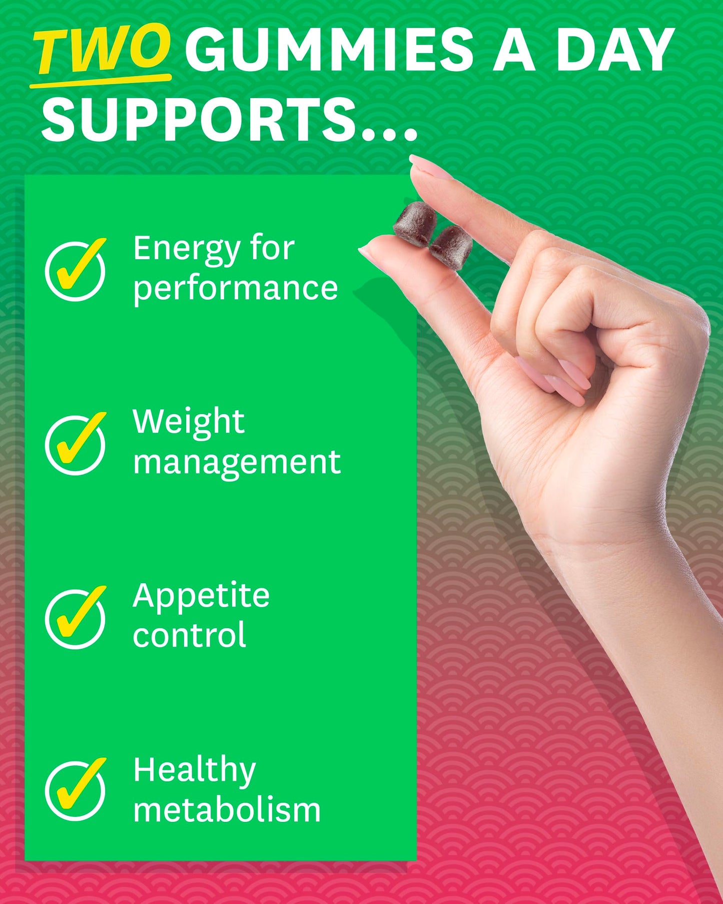 Zenwise Health Fat Burner Gummies - Appetite Suppressant for Weight Loss with Green Tea Extract, Garcinia Cambogia & B12 for Metabolism + Green Coffee Bean & Raspberry Ketone - 60ct Apple Gummies