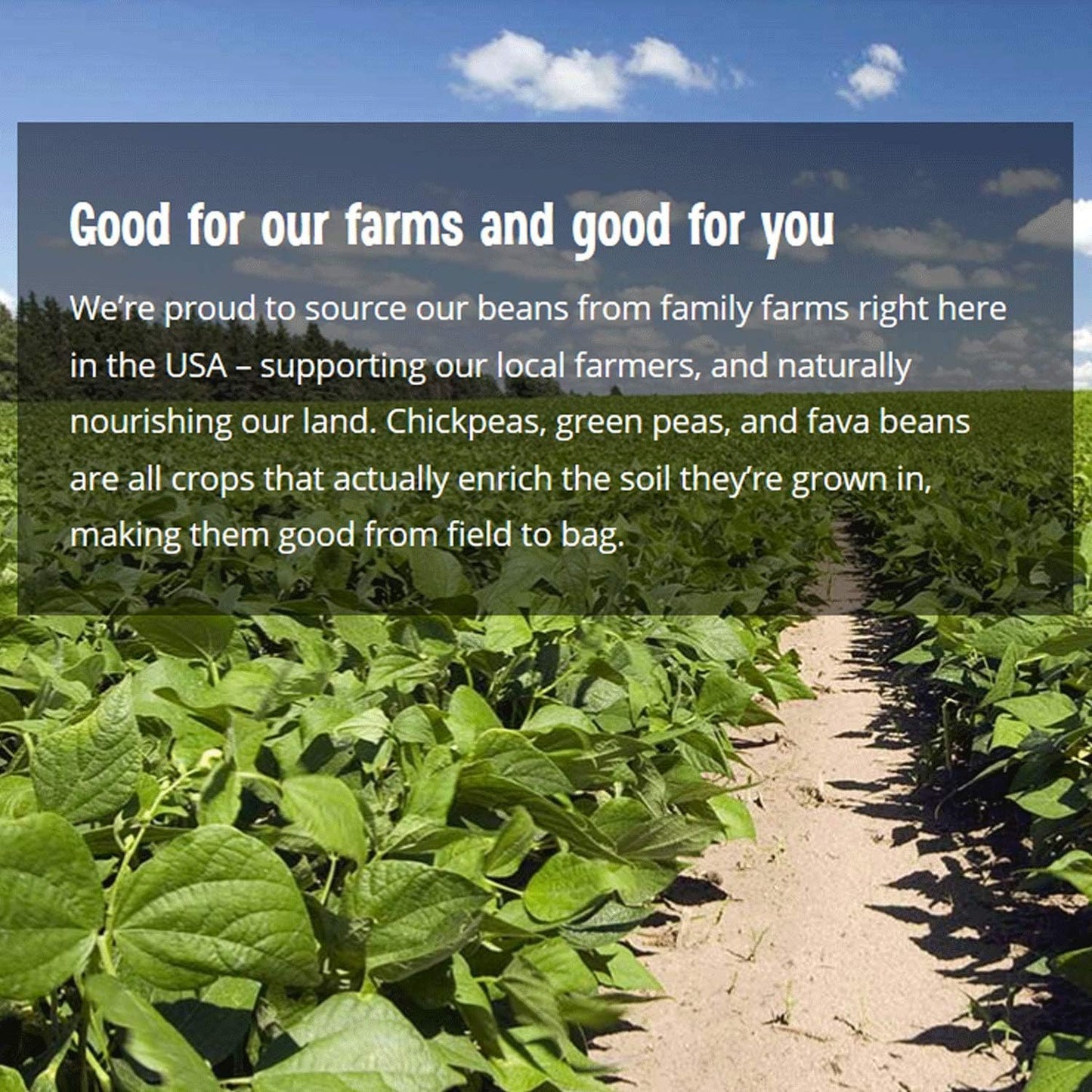 The Good Bean Protein Snack Mix Sea Salt 6 Pack 6 oz Resealable Bag Fava Beans and Split Peas Vegan Snack with Good Source of Plant Protein and Fiber