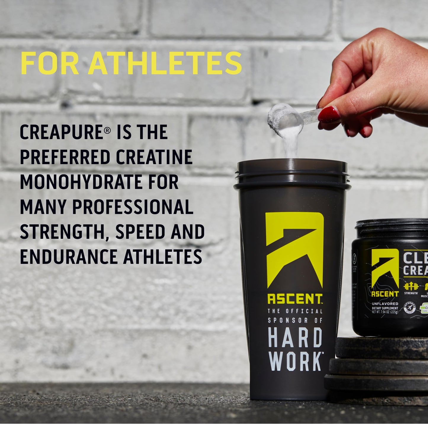 Ascent Clean Creatine Monohydrate Powder - 5G Per Serving, Creapure Creatine Supplement - Unflavored, 45 Servings