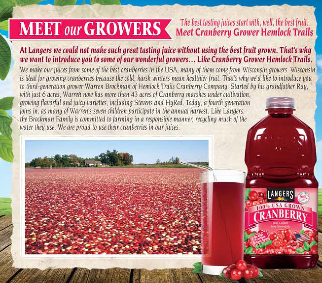 Langers Juice Cocktail Cranberry 64 Ounce Pack of 8