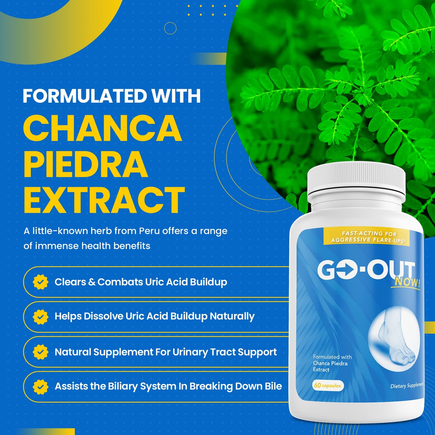 Go-Out Now! - Chanca Piedra, Stone Breaker, Natural Kidney Cleanse & Gallbladder Formula -Chanca Piedra Stone Breaker, Stonebreaker, Stone Free, Chanca Piedra Liquid, Stone Breaker Chanca Piedra