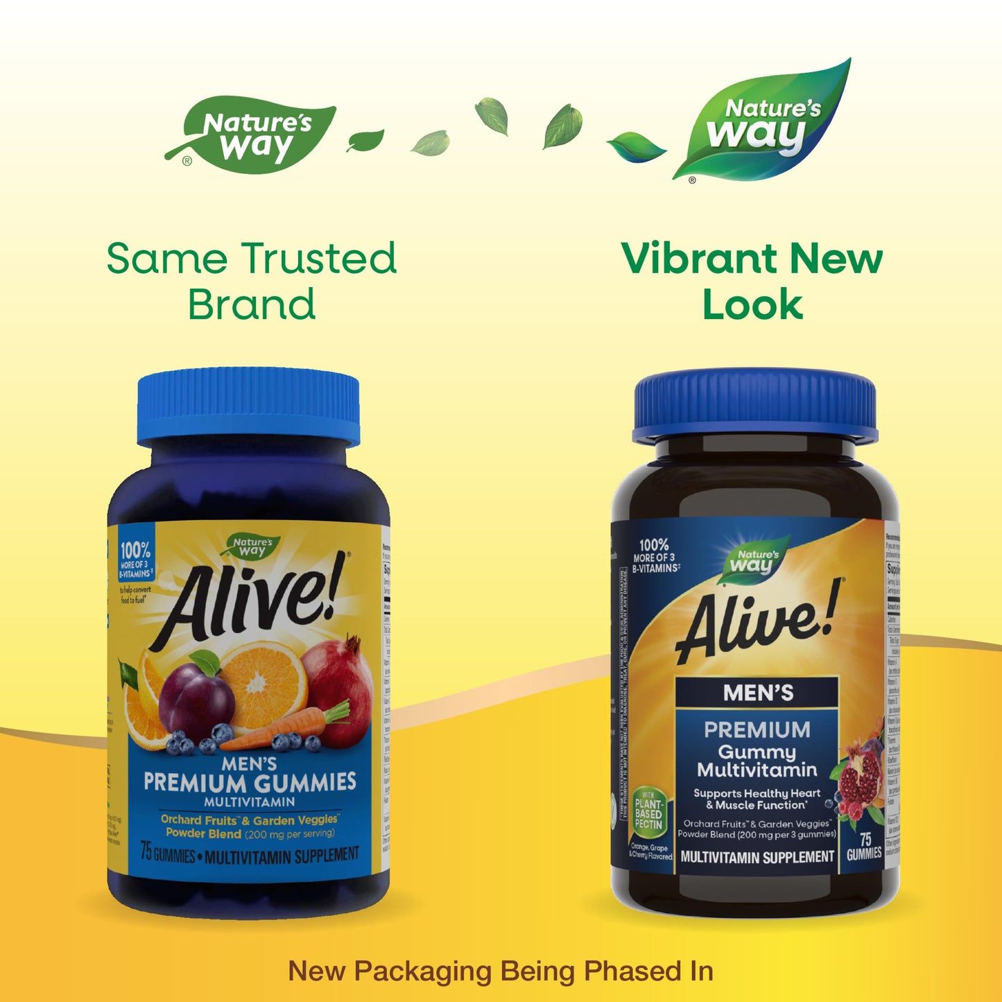 Nature's Way Alive! Men's Premium Gummy Multivitamin, Supports Healthy Heart, Muscle Function*, Full B-Vitamin Complex, Orange, Grape, Cherry Flavored, 75 Gummies (Packaging May Vary)