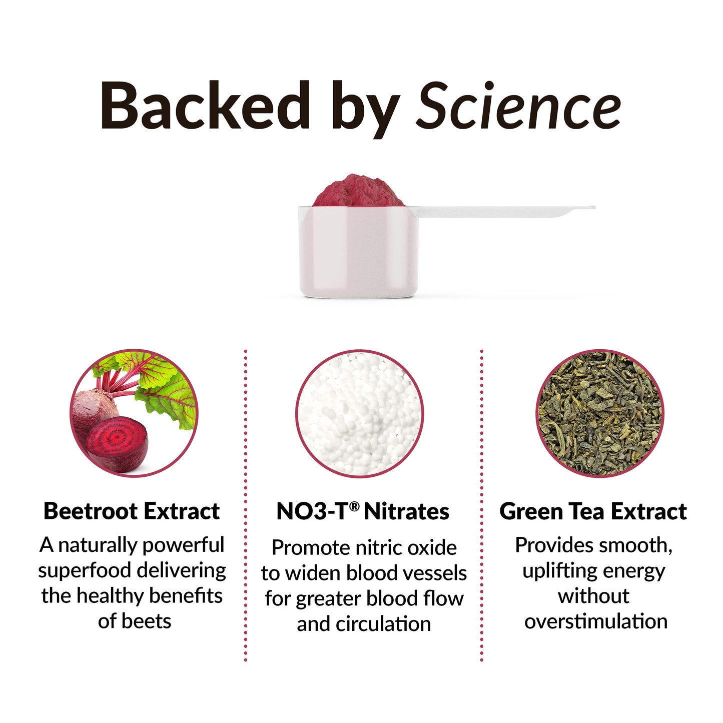 FORCE FACTOR Total Beets Beet Root Powder with Energy, NO3-T® Nitrates to Support Circulation, Blood Pressure, Blood Flow, and Stamina - Plus Green Tea Extract. A Superfood Supplement, 30 Servings