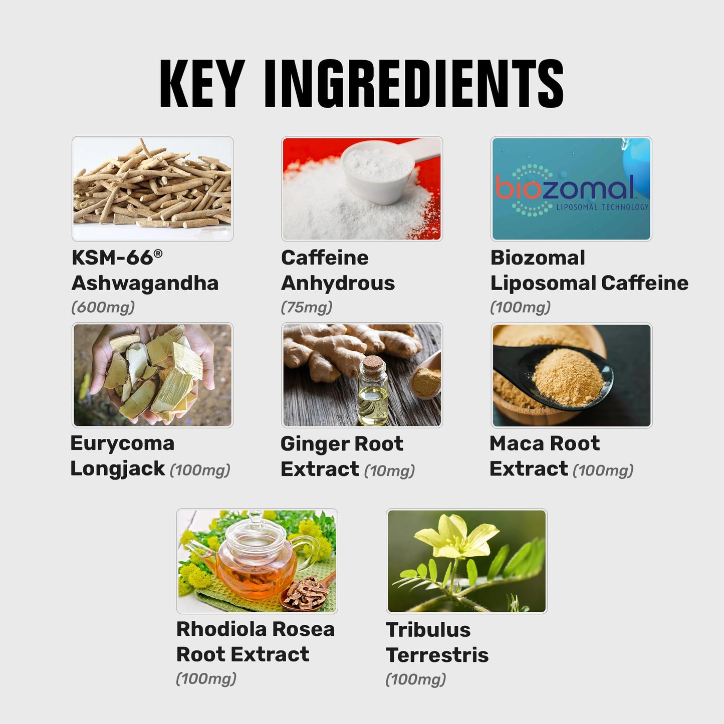 Vyotech Nutritionals 17 HD Testo Booster | Natural T-Level Support for Lean Muscle Mass, Strength, Energy & Fat Burn | Maximize T-Levels & Performance