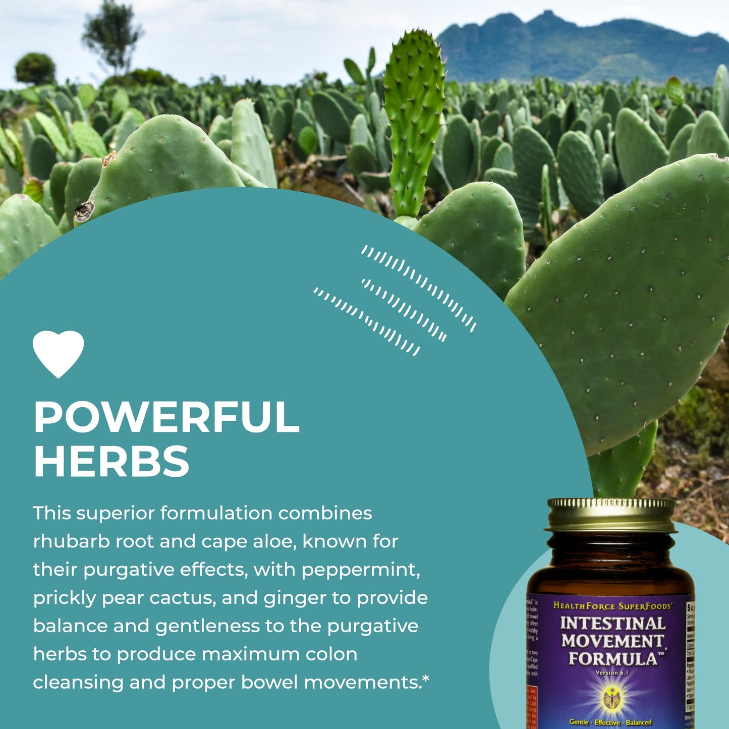 HealthForce SuperFoods Intestinal Movement Formula - Natural Laxative Supports Bowel Regularity - All-Natural Digestion Supplement to Support Constipation - Gluten-Free & Vegan - 50 Caps