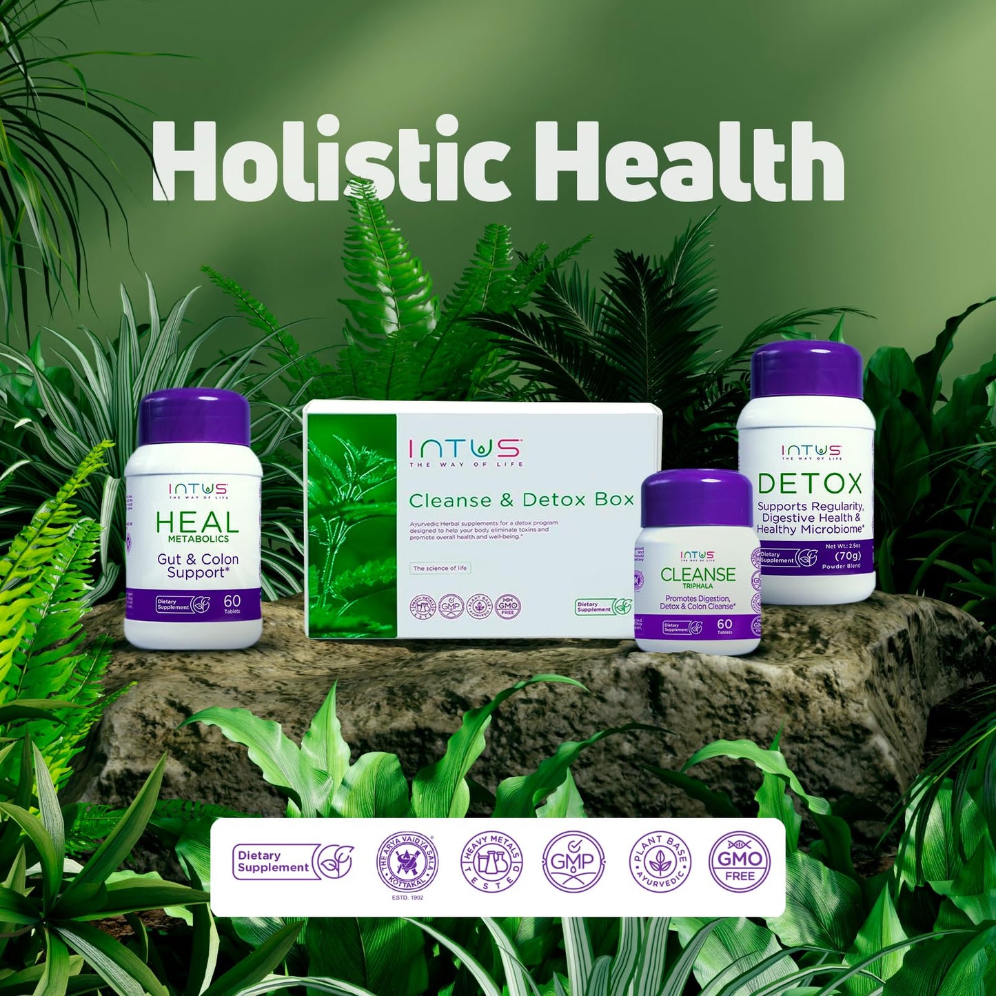Intus Clean and Detox Box - Ayurvedic Detox Program to Promote Gut and Colon Cleanse, and Support Digestion and a Healthy Microbiome - Digestive Health Dietary Supplement for Overall Well-Being