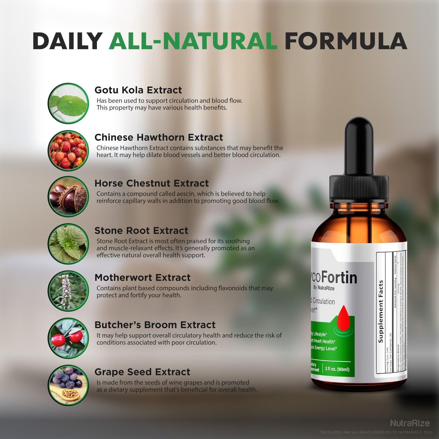 (2 Pack) GlycoFortin Drops, Official Glyco Fortin Formula, All Natural Support Drops To Maintain Stable Levels & Healthy Circulation, Cleanse & Restore, Premium GlycoFortin Gotas Review (60 Servings)