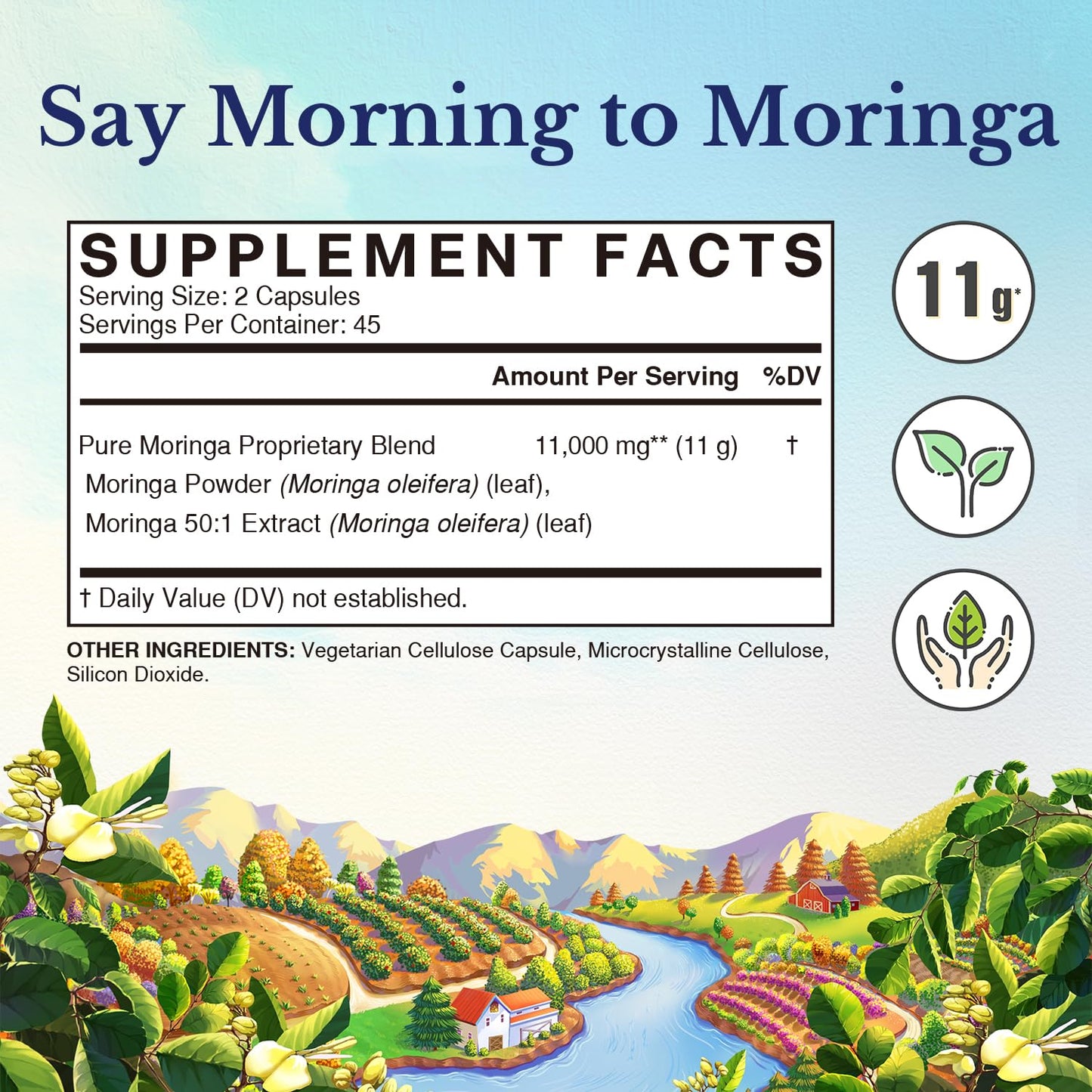 Vitalitown Moringa Capsules 11,000 MG, Pure Moringa Oleifera Leaves, No Sticks, No Caffeine, Energy, Immune, Joint Support, 90 Capsules