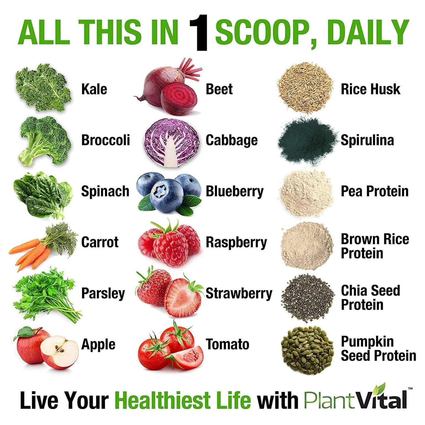 Plantvital Unflavored Organic Vegan Protein Powder - 15 Superfoods, Veggies and Probiotics - Organic Plant-Based Protein Powder - All BCAAβs, Gluten Free - 16oz -1 Pouch