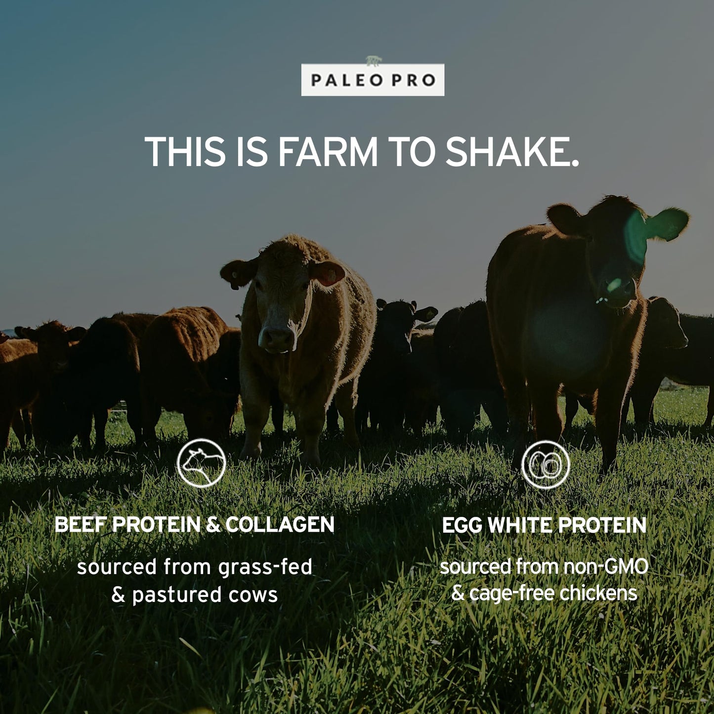 Paleo Pro Beef Protein Powder - Grass Fed Protein Powder Isolate - Pure Animal Based Pastured & Cage-Free | Dairy & Gluten Free, Natural and Clean Proteins for Paleo & Keto - 15 Days Supply (Cacao)