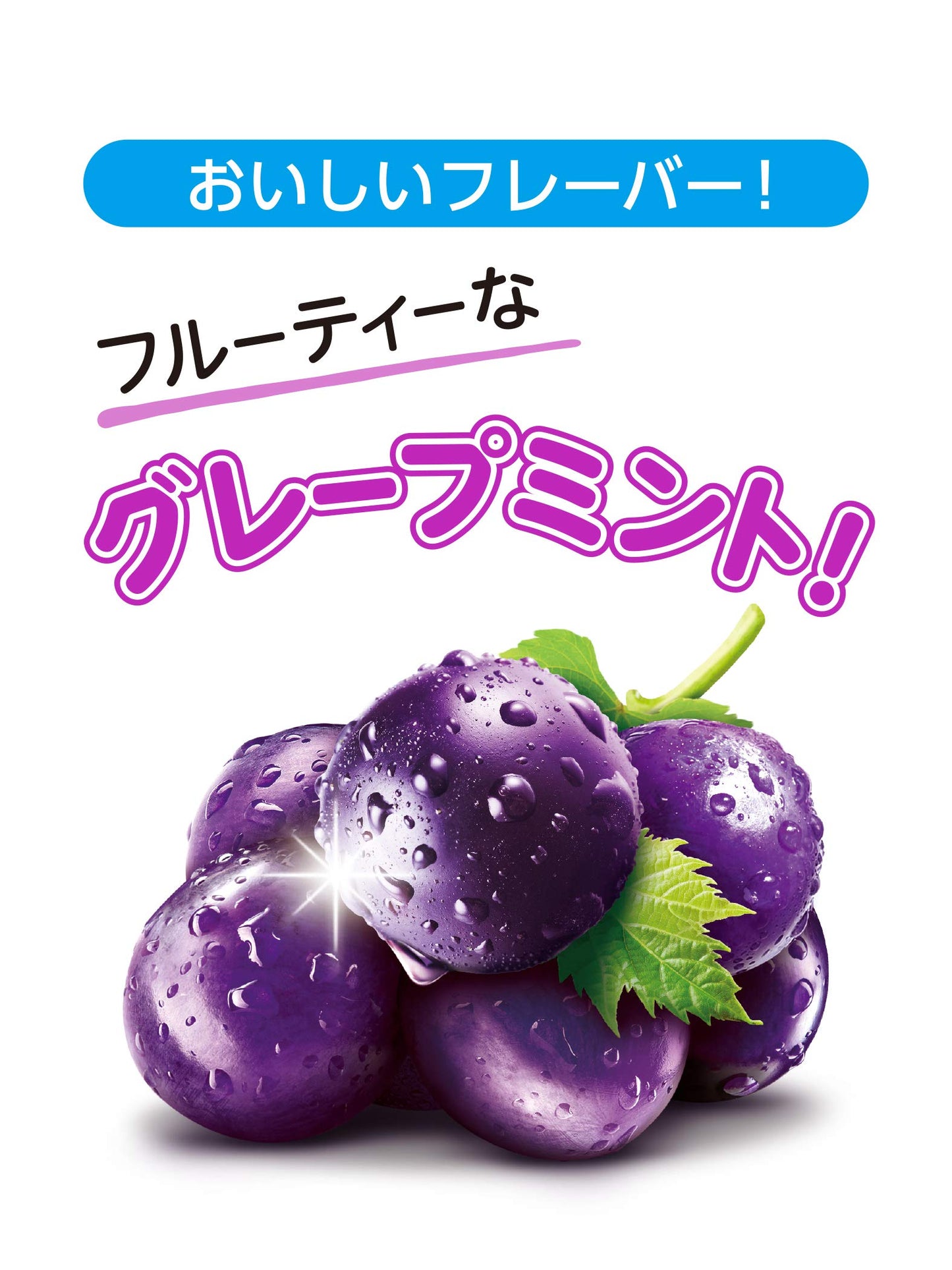 Tokuho Monderizu Japan Rikarudento grape mint gum bottle R 140g