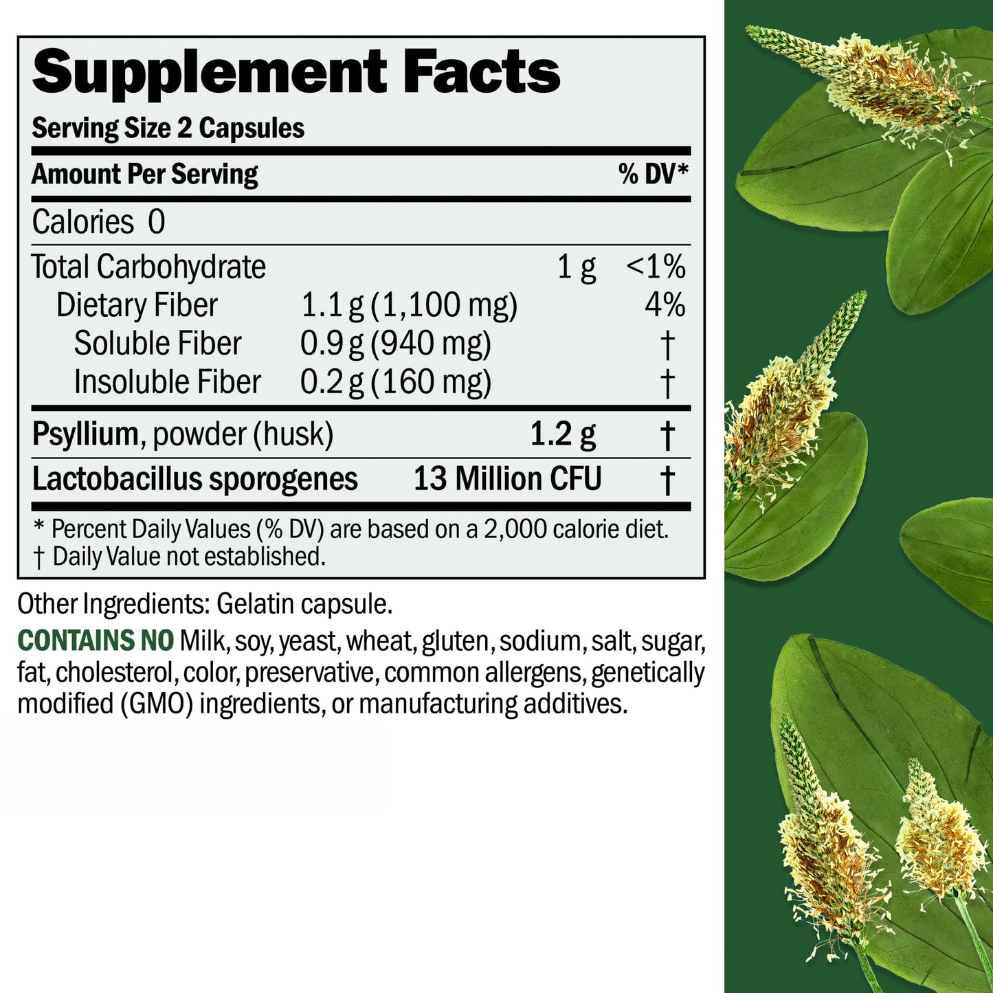 ANDREW LESSMAN Fibermucil 60 Capsules -Psyllium Husk Powder. Gently Promotes Regularity and Digestive Health. Rich in Fiber. Gentle, Easy, Effective. No Additives. Small Easy to Swallow Capsules
