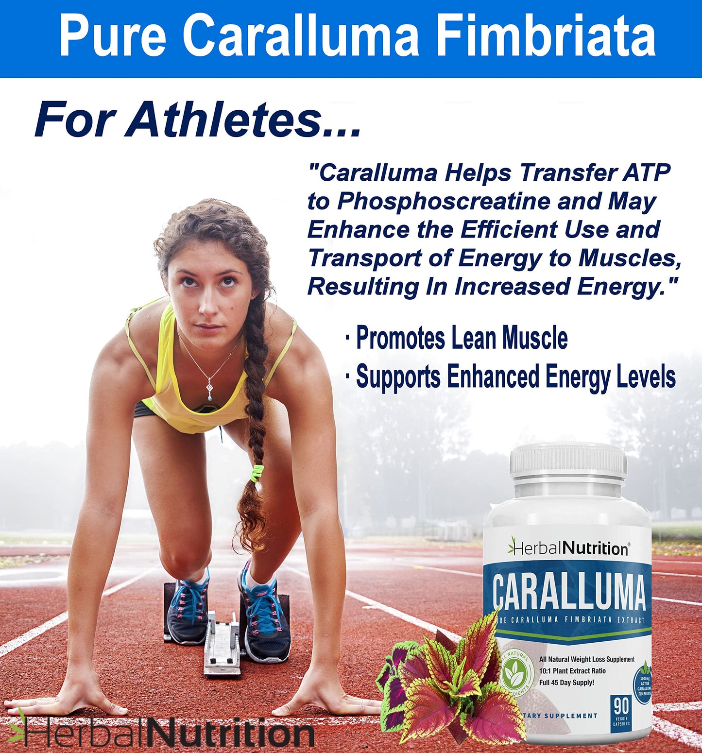 Herbal Nutrition Caralluma Fimbriata 180 Capsules Two Bottle Pack Maximum Strength 10:1 Extract Ratio 1200mg All-Natural Diet, Energy, Endurance and Weight Management Supplement