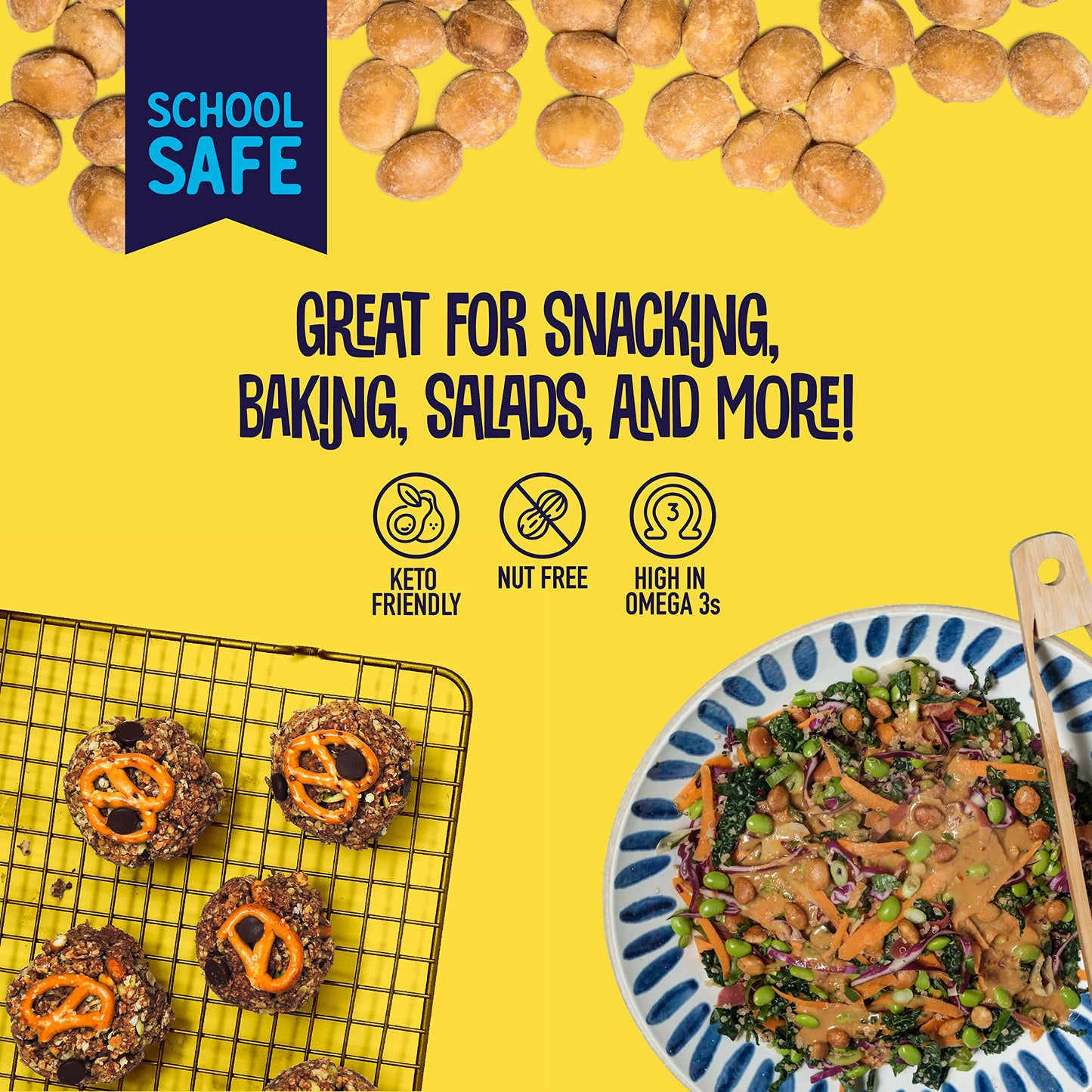 Brass Roots Organic Roasted Sacha Inchi Seeds Lightly Salted Keto Paleo Allergen Free Low Fodmap 12 oz Pack of 1 Seen on Shark Tank