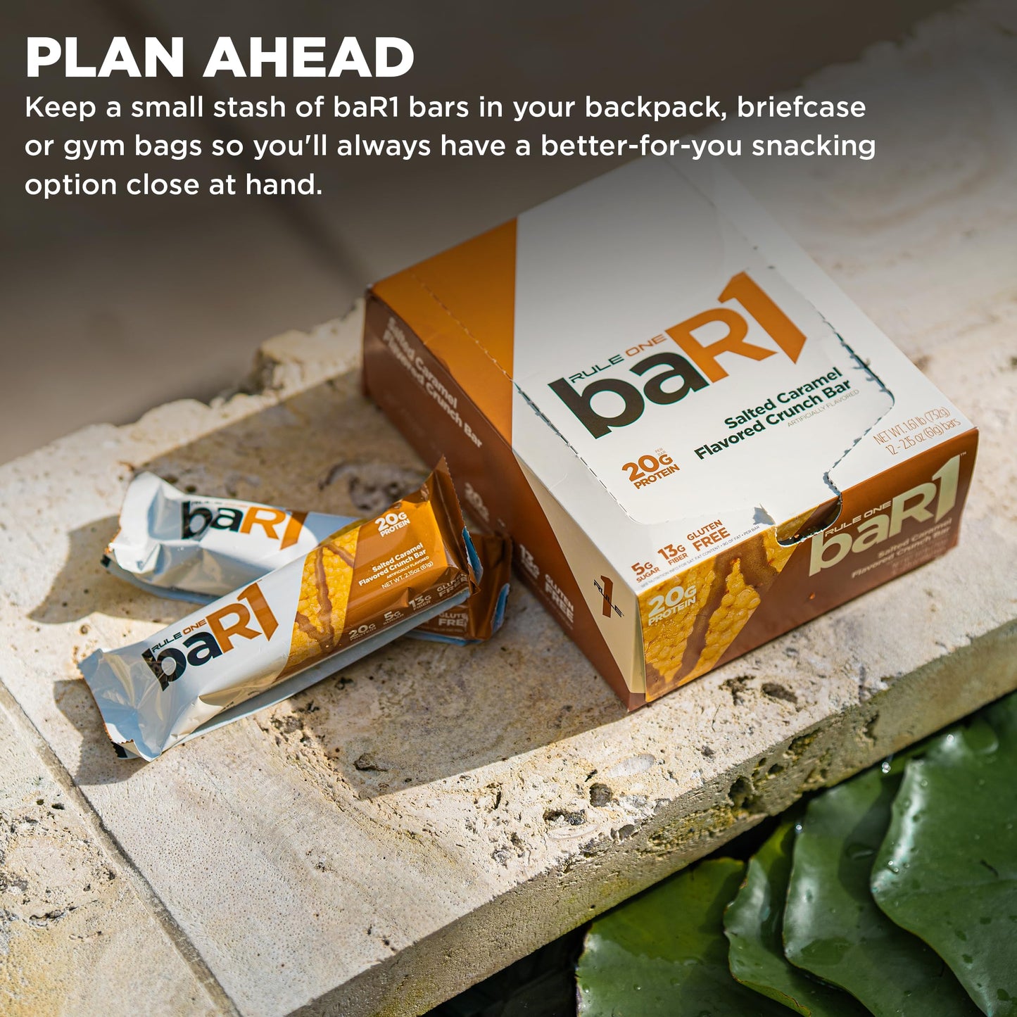 Rule 1 baR1 Crunch Bar - On-The-Go Convenient Protein Snack Bars with 20g Premium Protein, Naturally-Packed with EAAs/BCAAs, Hunger-Filling Fiber (12 Count Box, Birthday Cake)