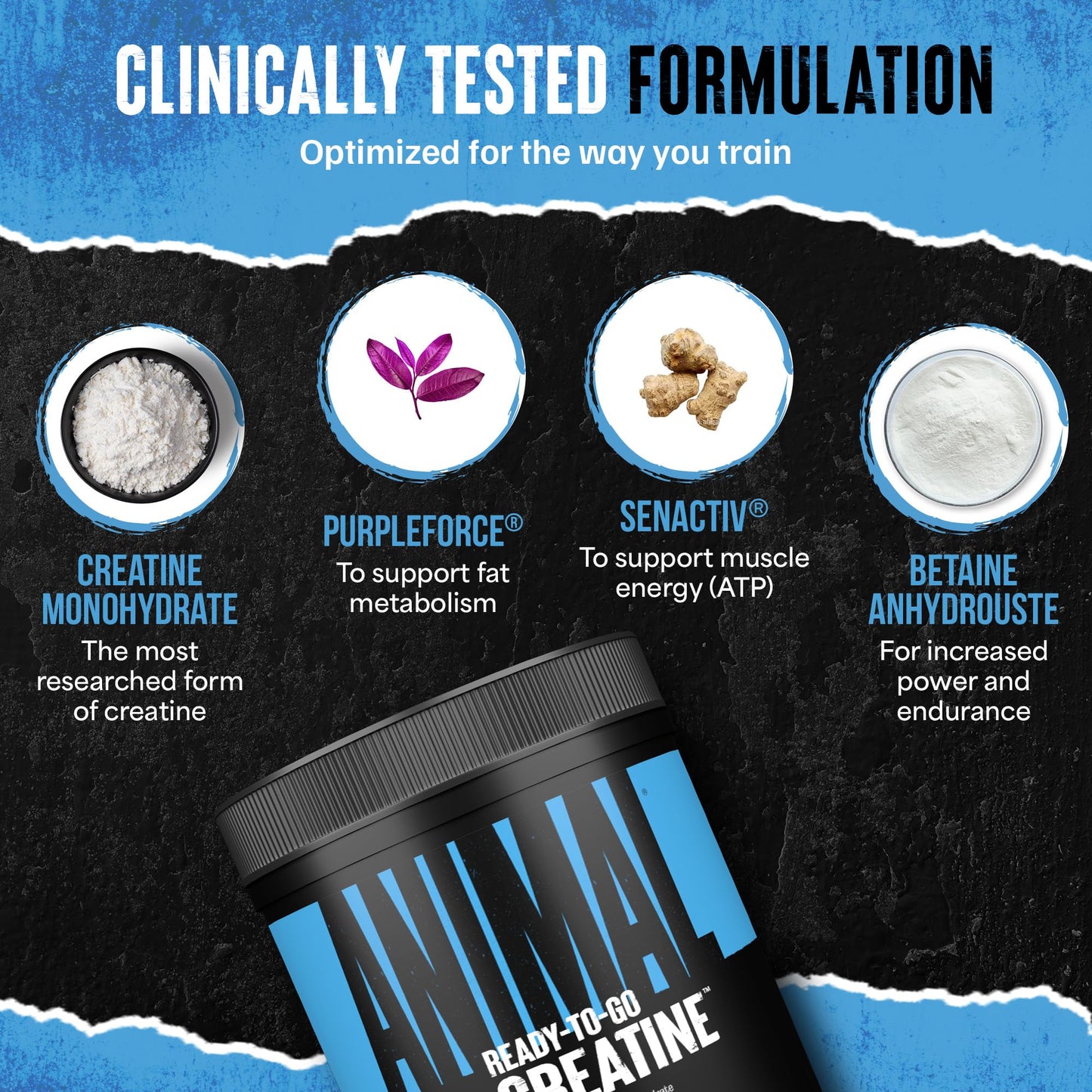 Animal Supercharged Creatine Powder - Flavored Creatine Monohydrate Enhanced with Betaine Anhydrous, PurpleForce & Senactiv, Strength, Endurance, Muscle Recovery for Men and Women - Watermelon, 300g